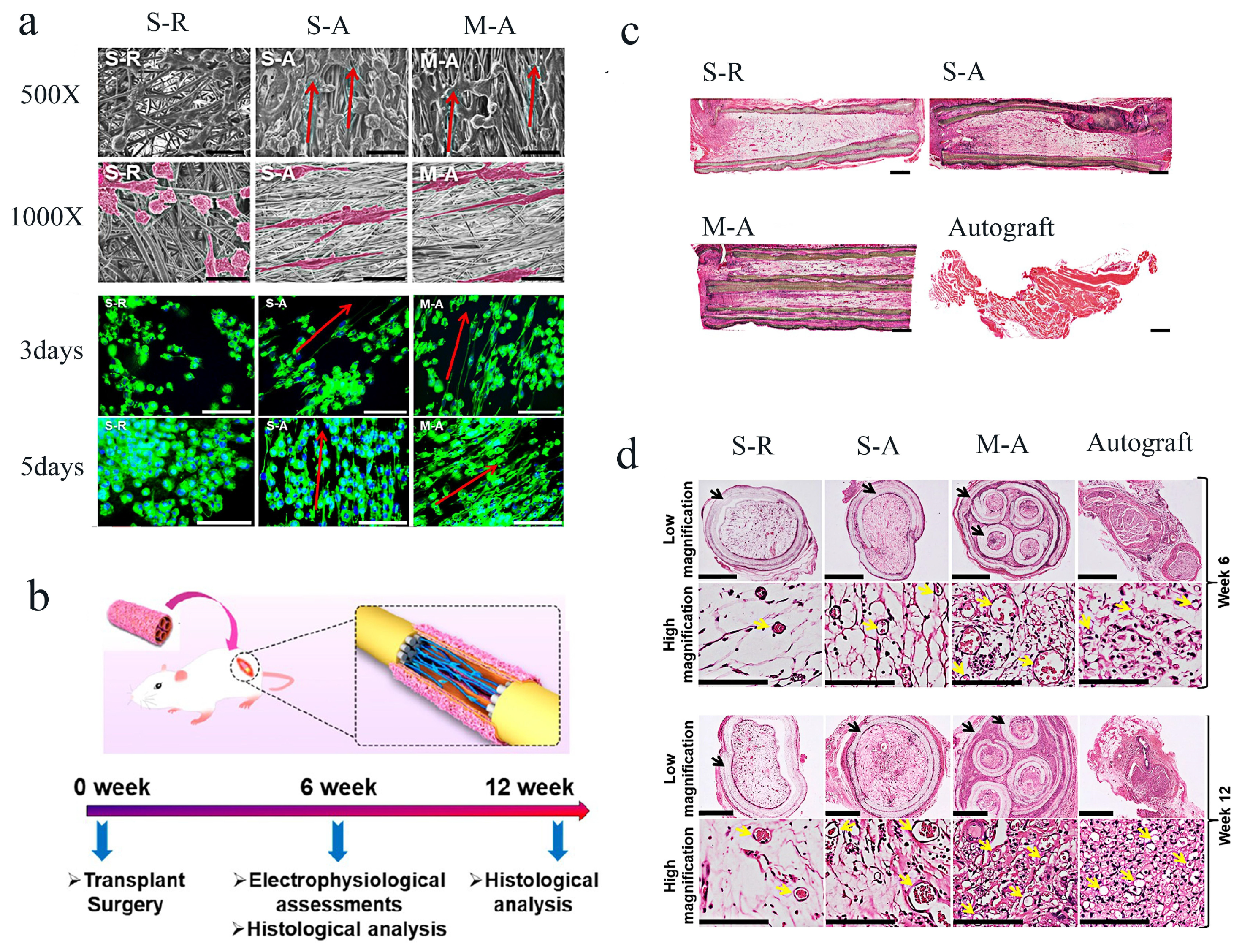 Molecules 29 00566 g011
