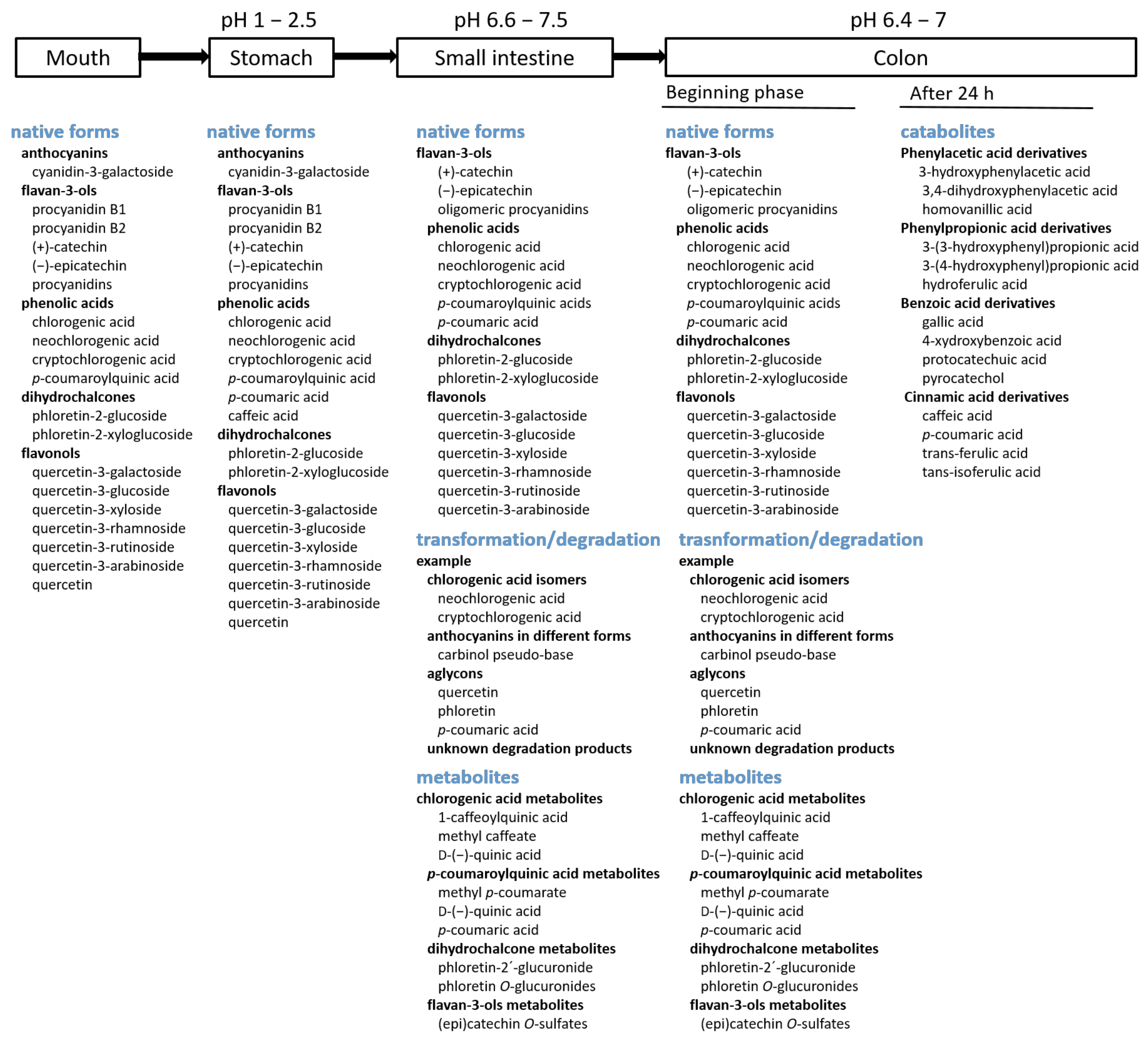 Molecules 29 00568 g002
