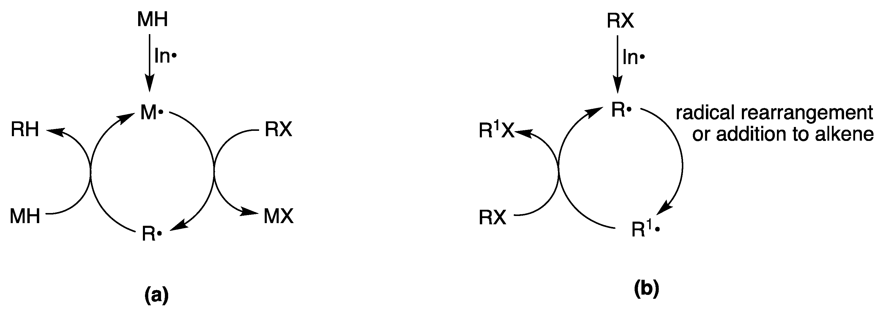 Molecules 29 00569 g003