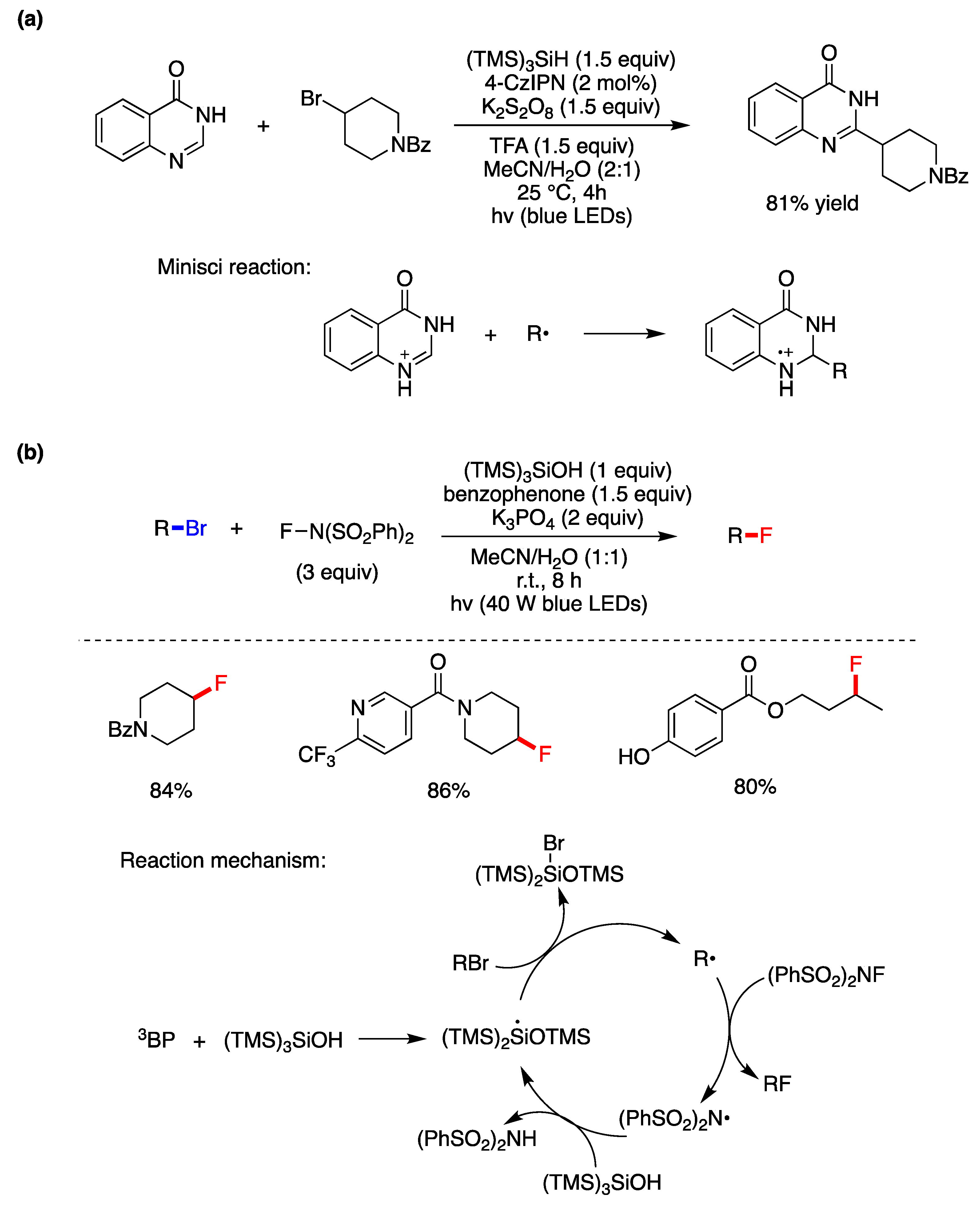 Molecules 29 00569 g005