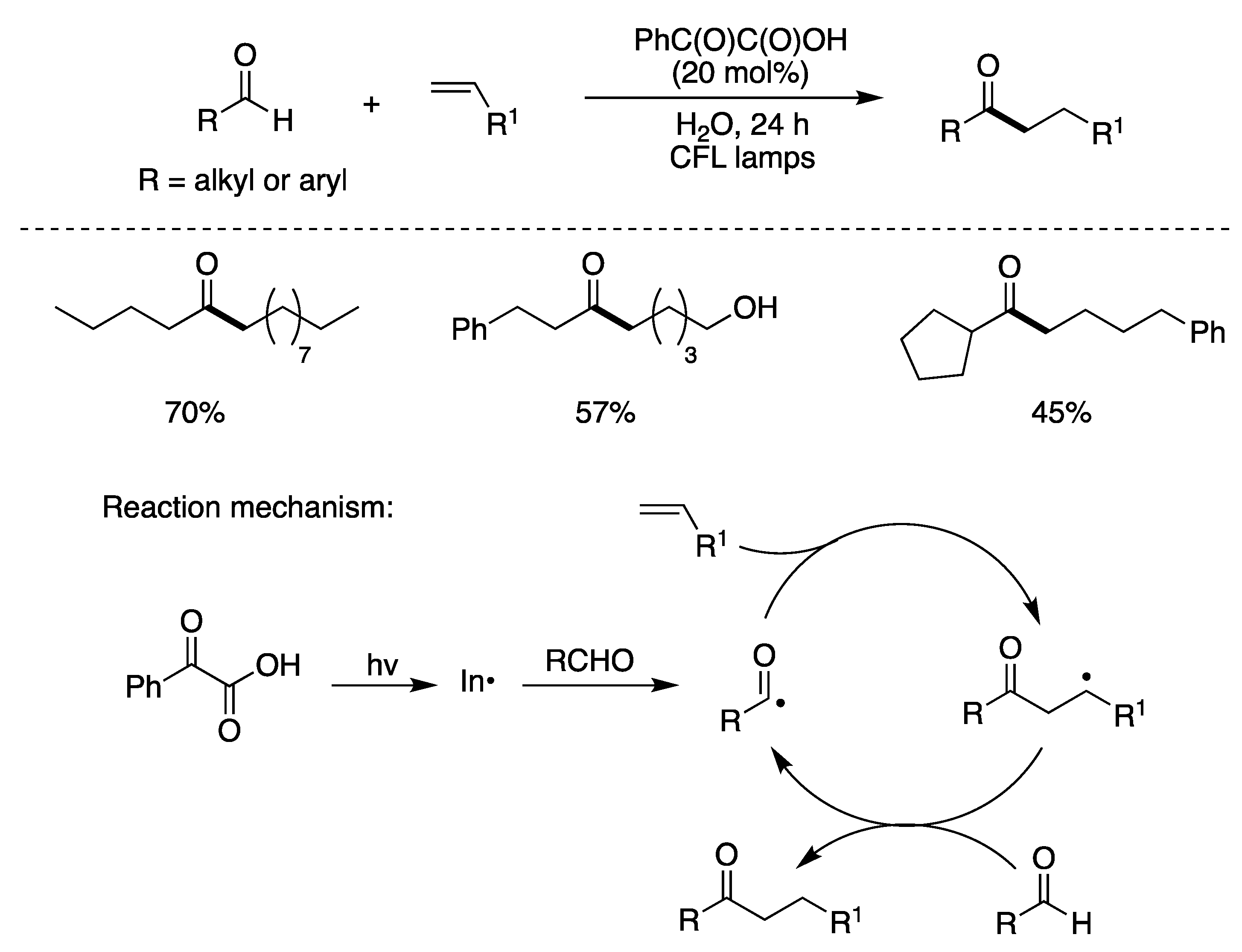 Molecules 29 00569 g010