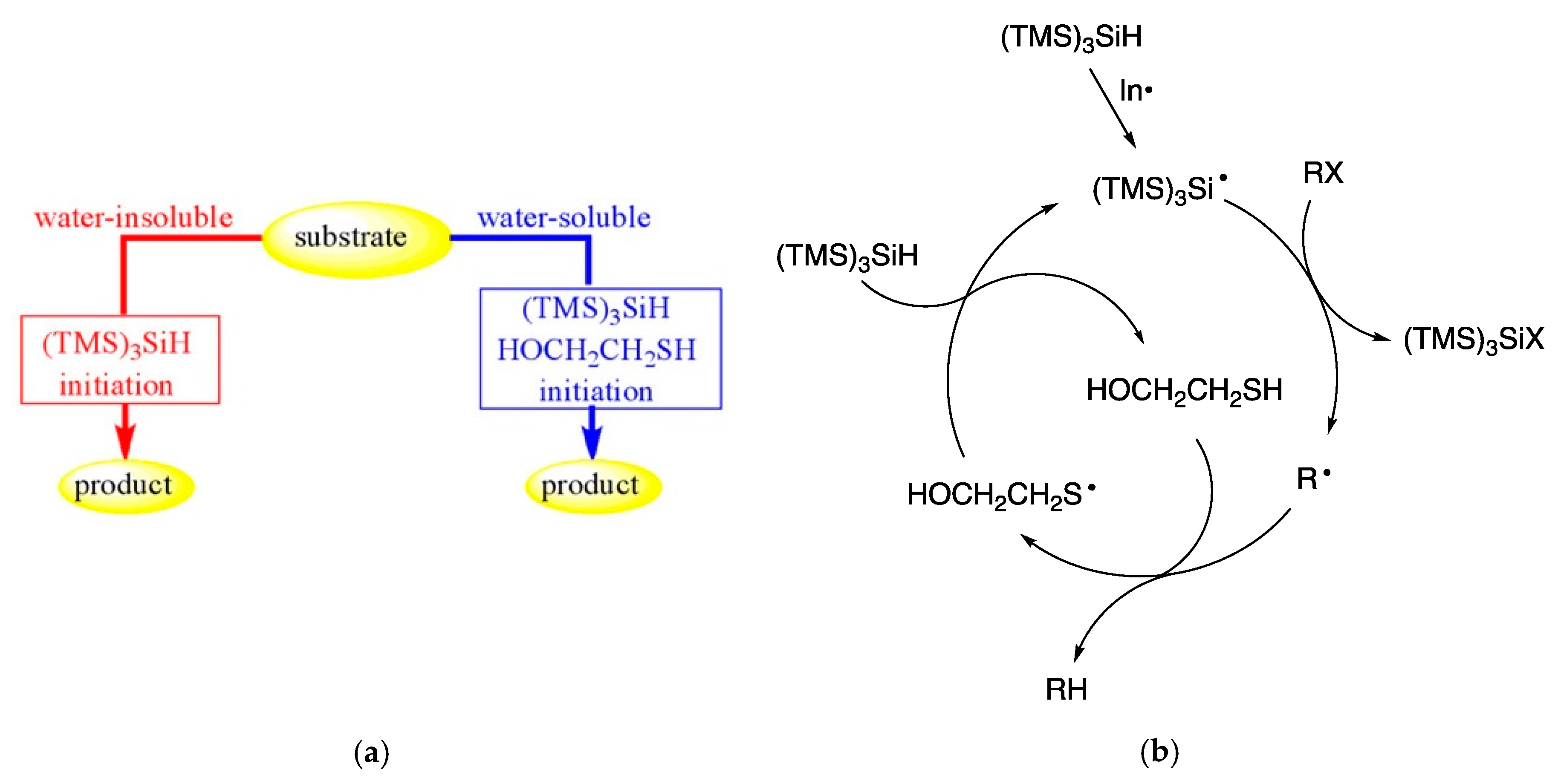 Molecules 29 00569 g011