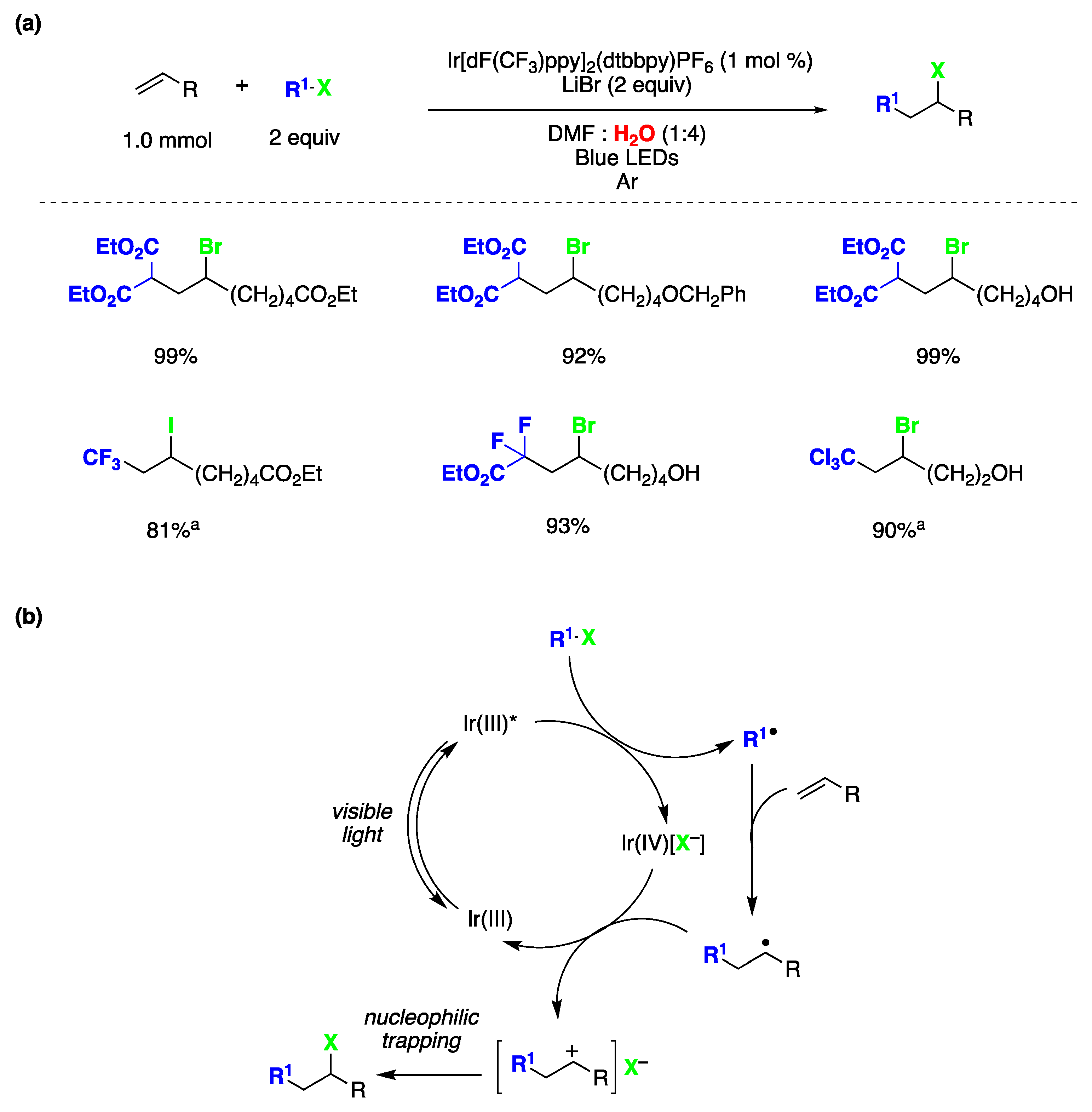 Molecules 29 00569 g032