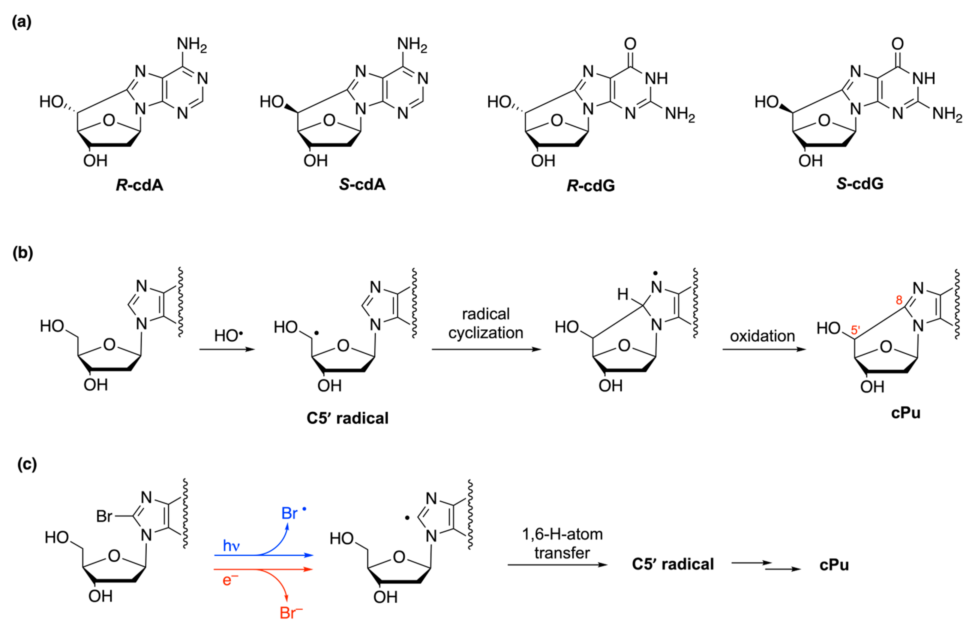 Molecules 29 00569 g043