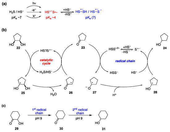 Molecules 29 00569 g045
