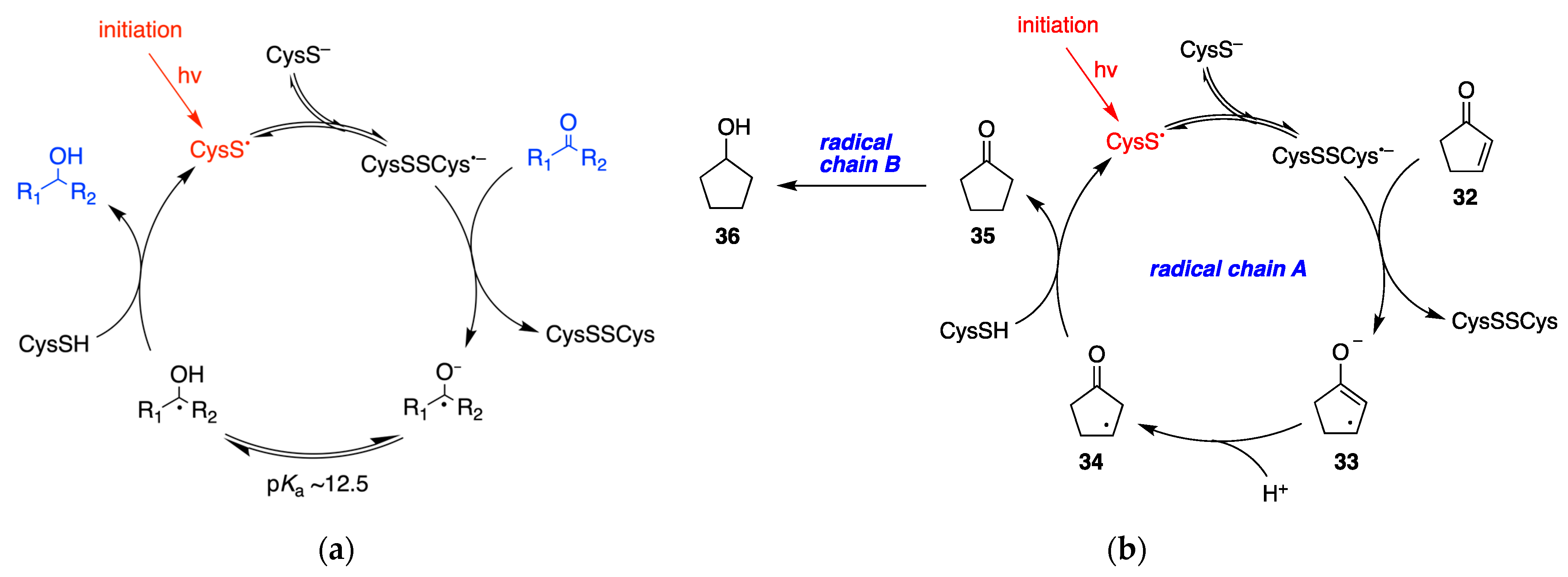 Molecules 29 00569 g046