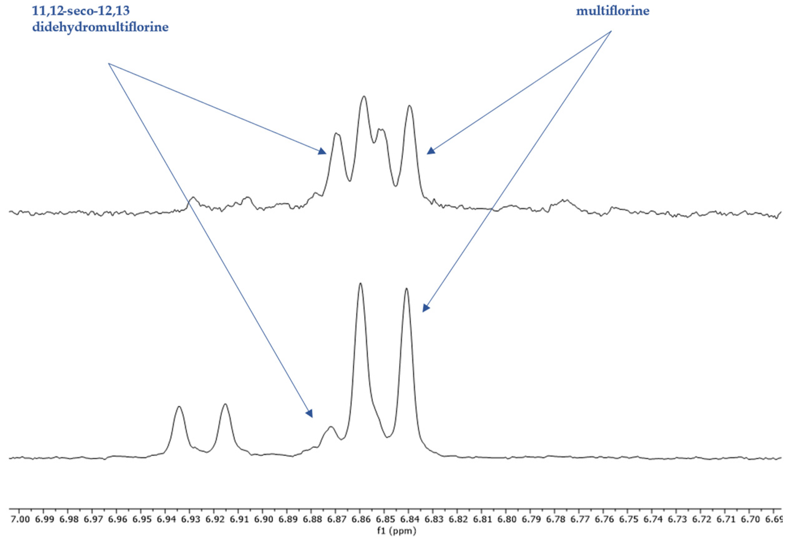 Molecules 29 00582 g003
