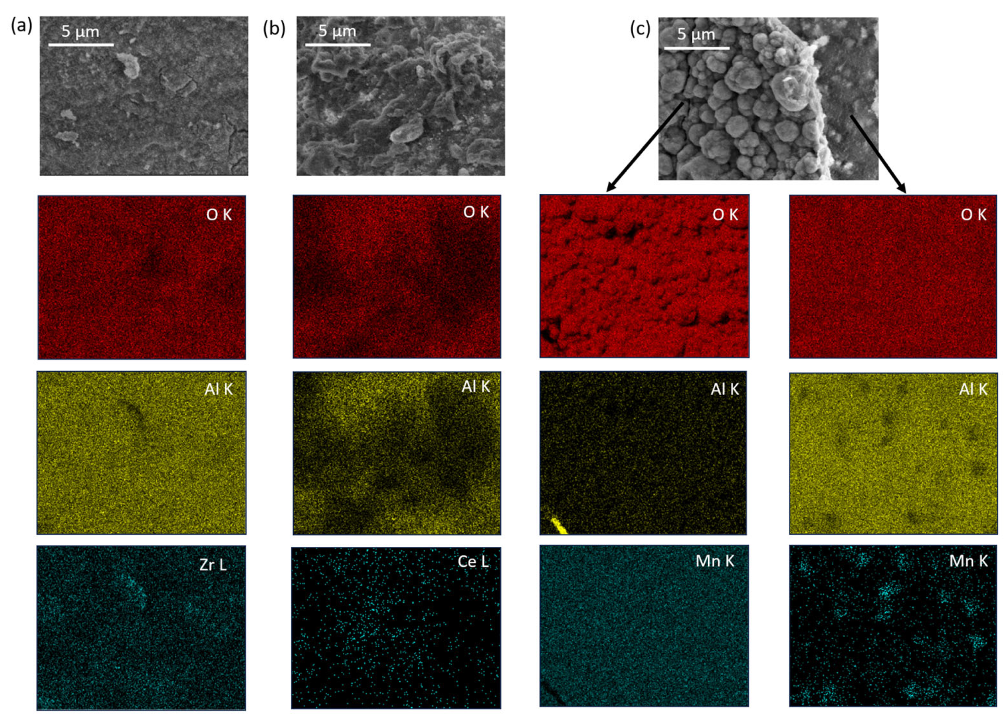 Molecules 29 00584 g002