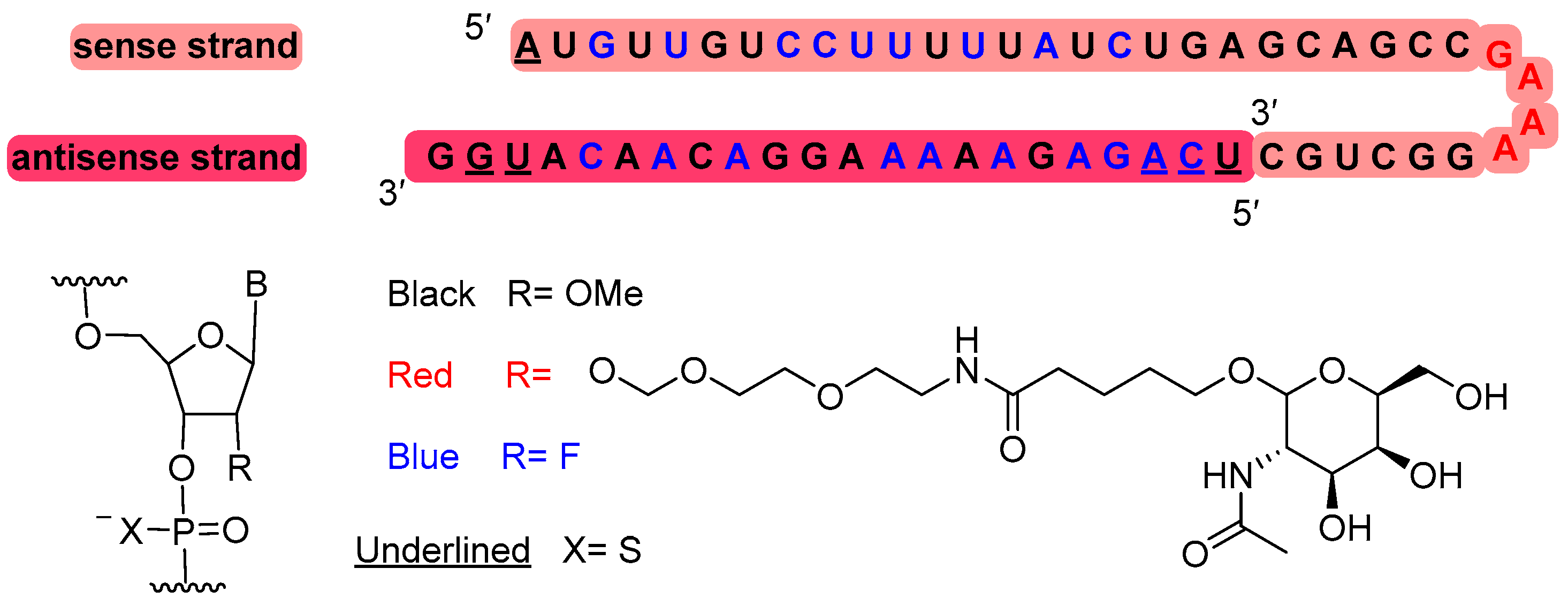 Molecules 29 00585 g007