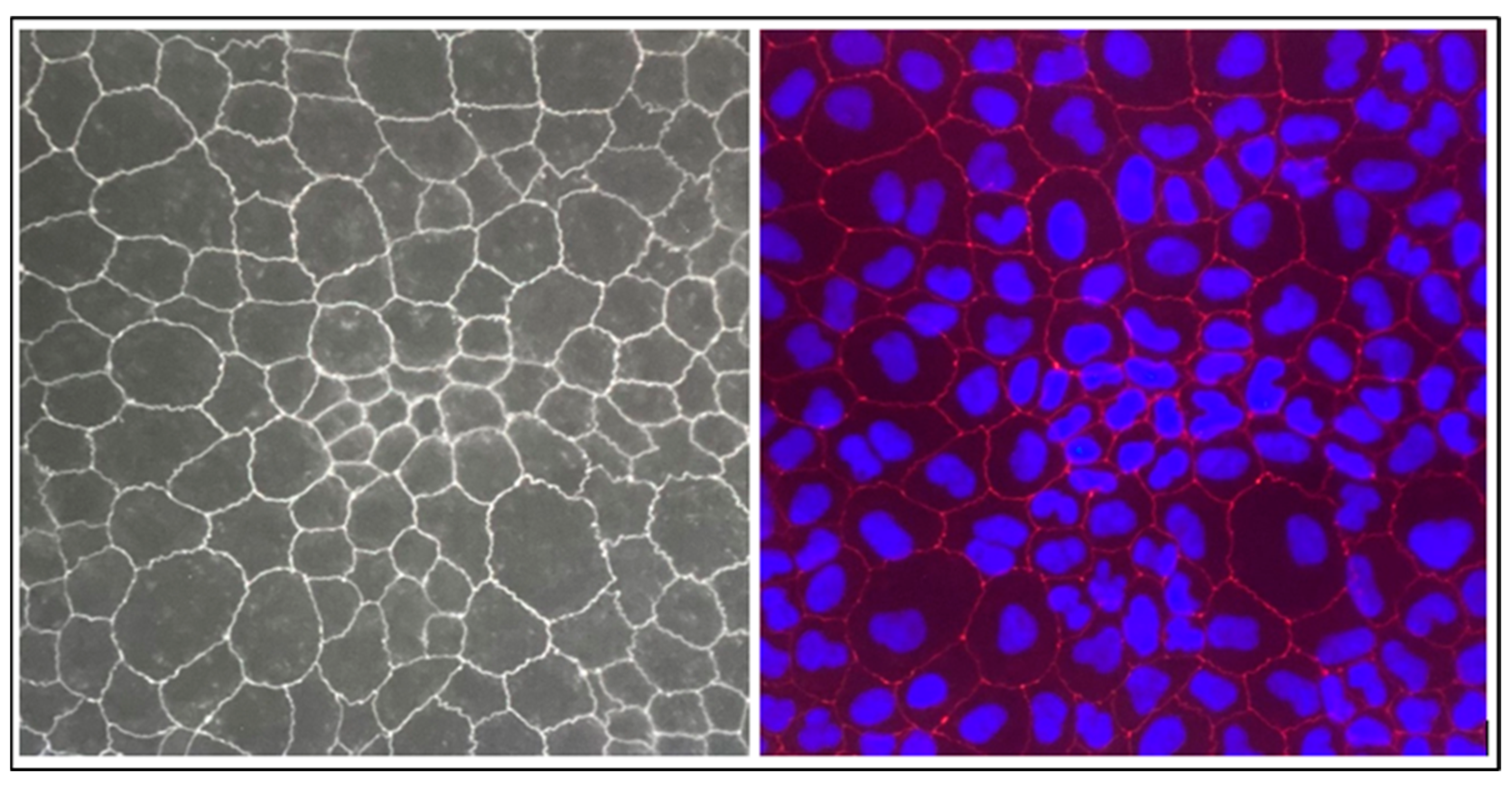 Molecules 29 00586 g003
