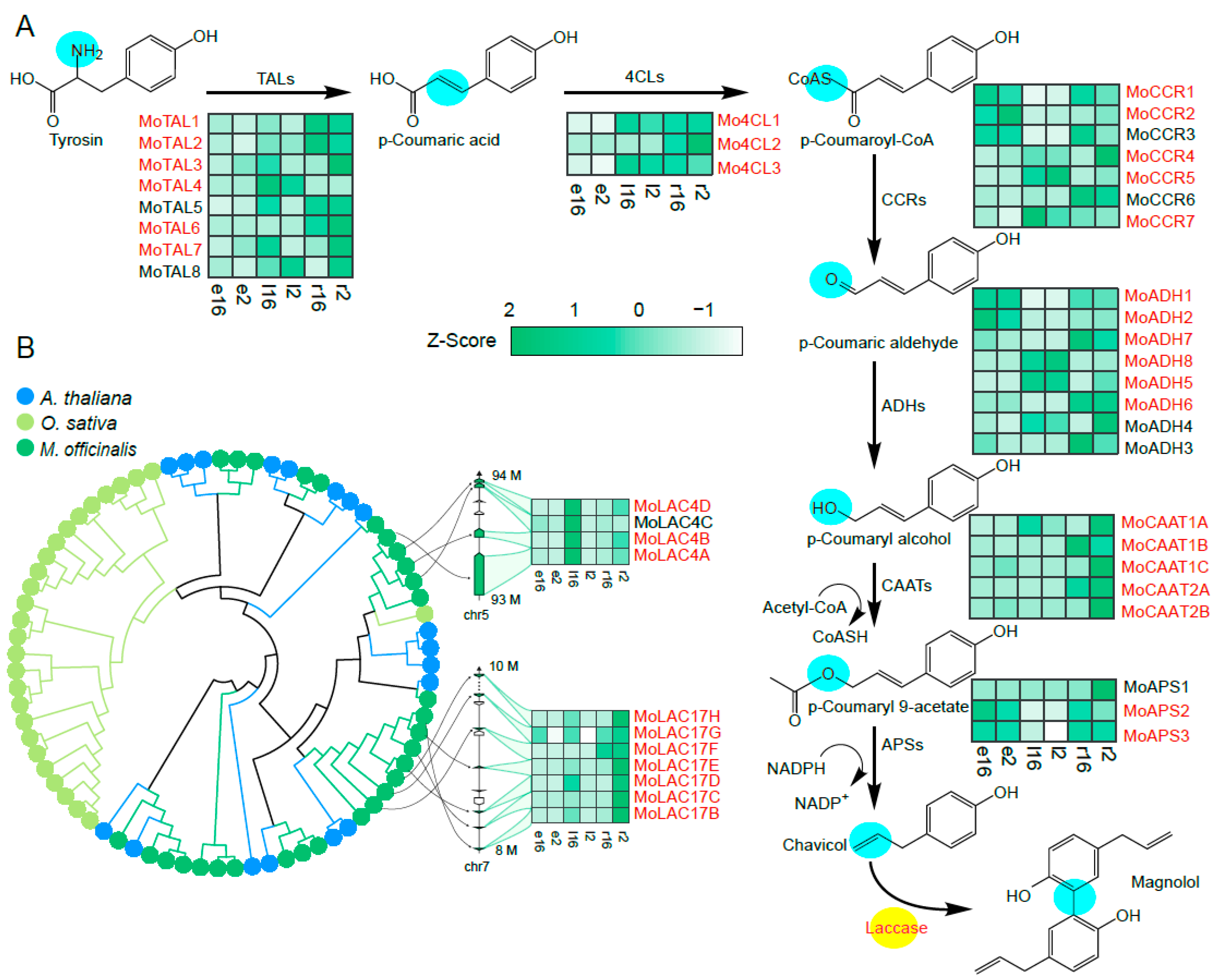 Molecules 29 00587 g001 Molecules 29 00587 g001