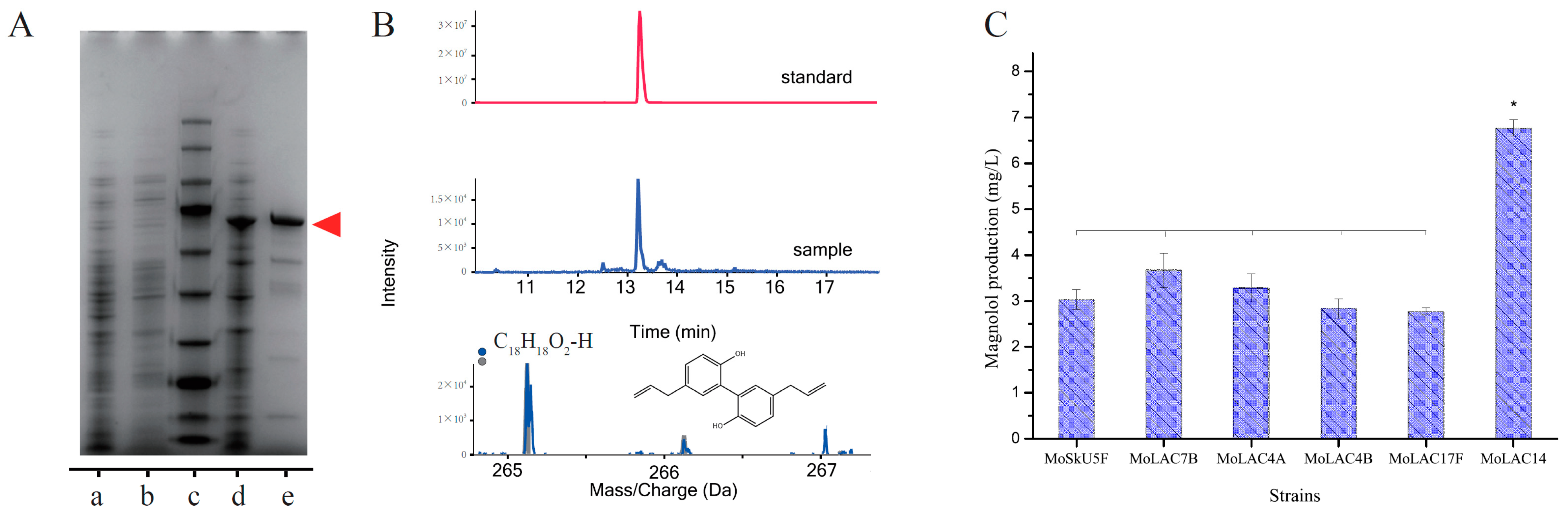 Molecules 29 00587 g002 Molecules 29 00587 g002