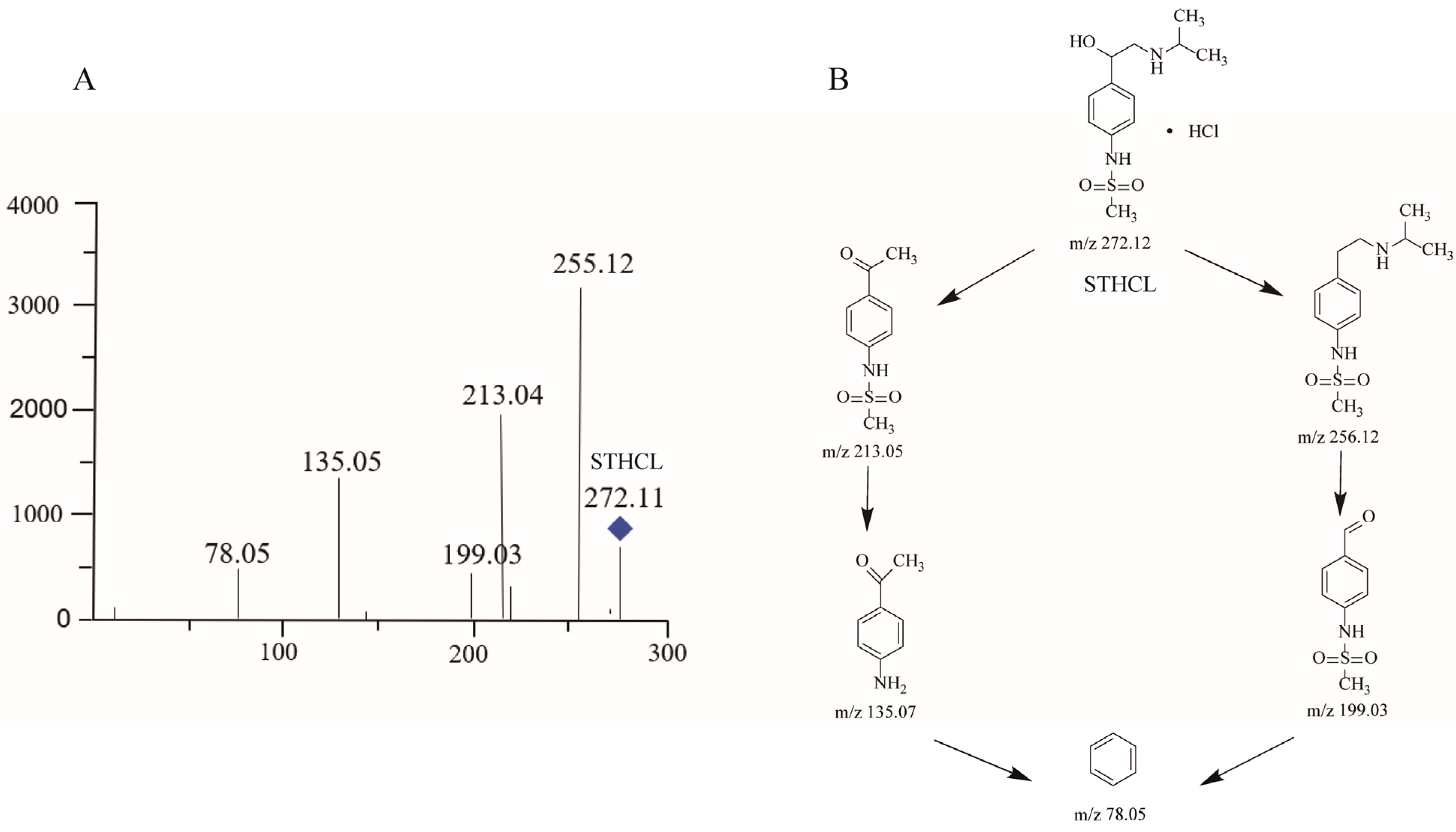 Molecules 29 00588 g002