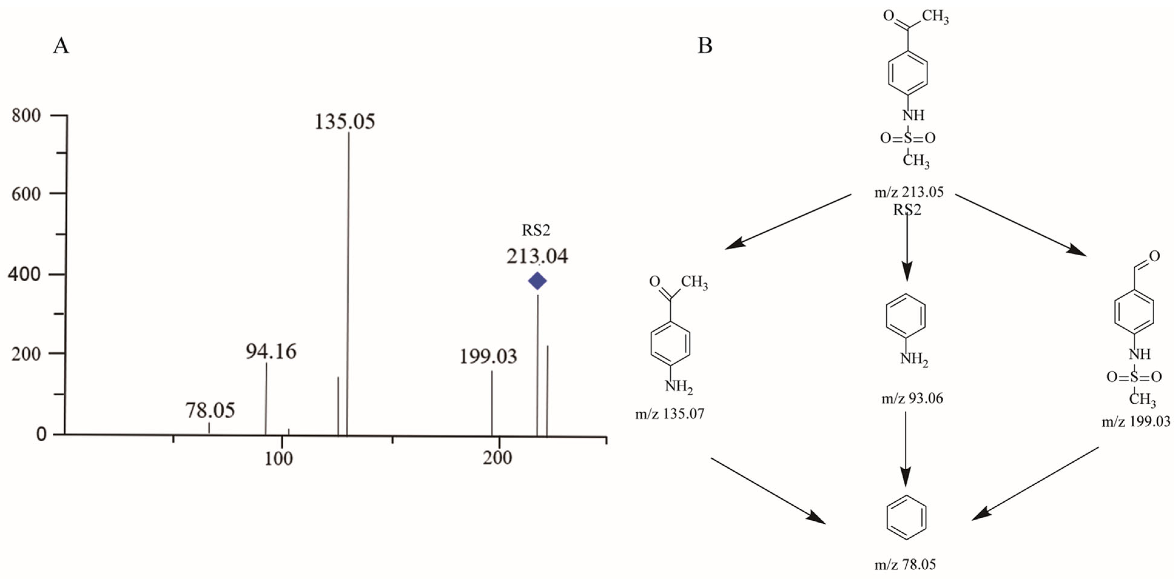 Molecules 29 00588 g004
