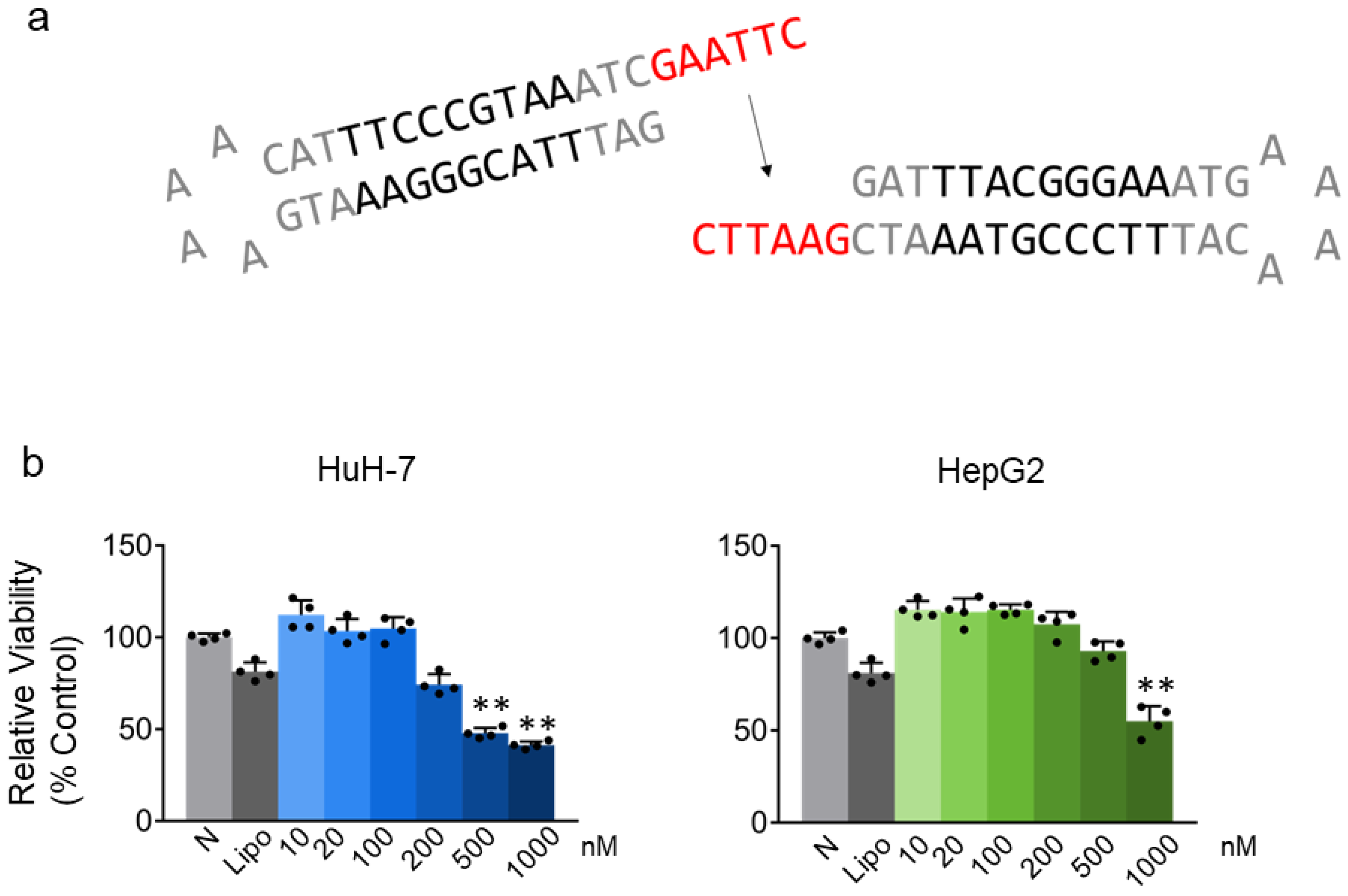 Molecules 29 00593 g001