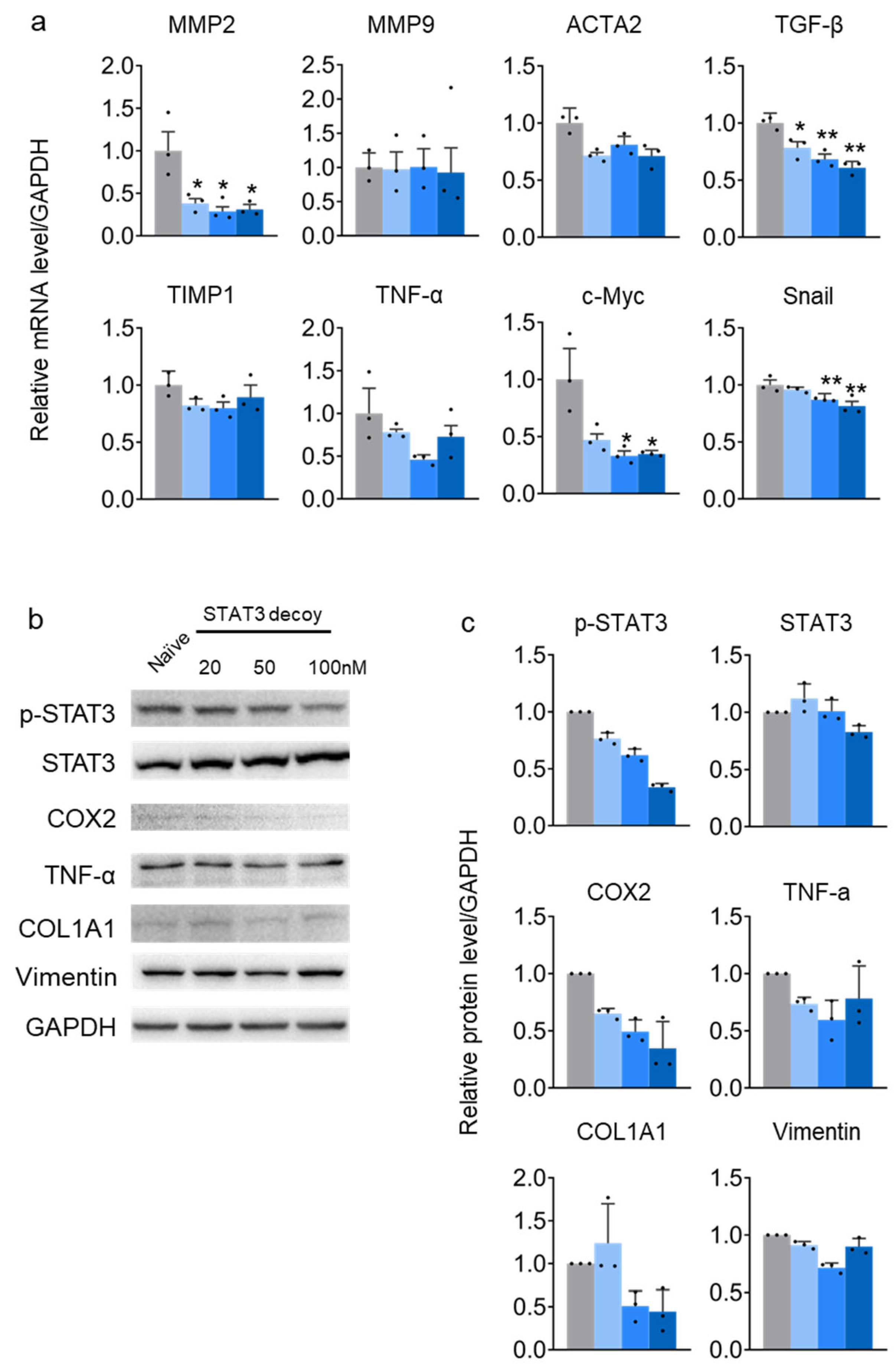 Molecules 29 00593 g002