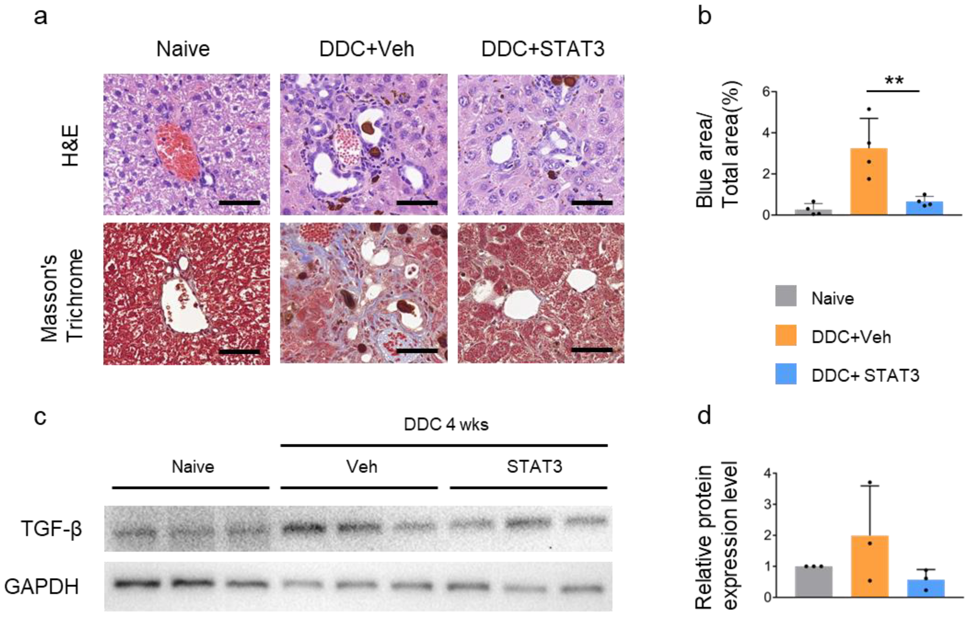 Molecules 29 00593 g005