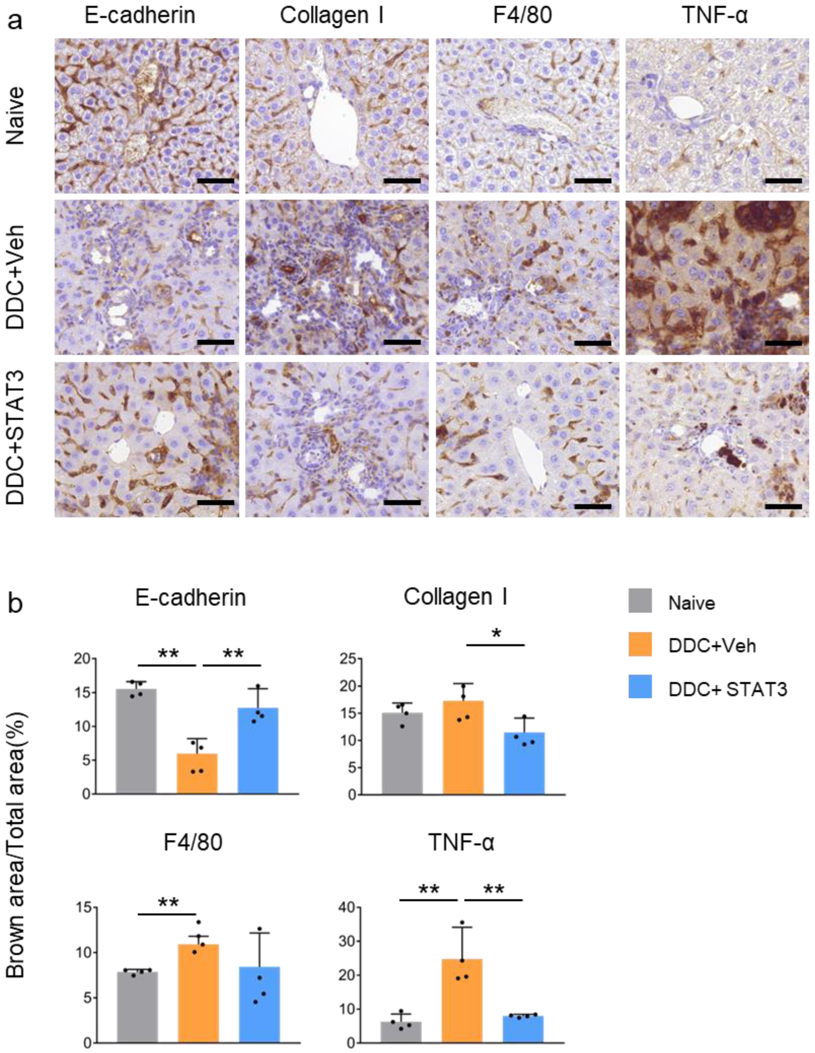 Molecules 29 00593 g006