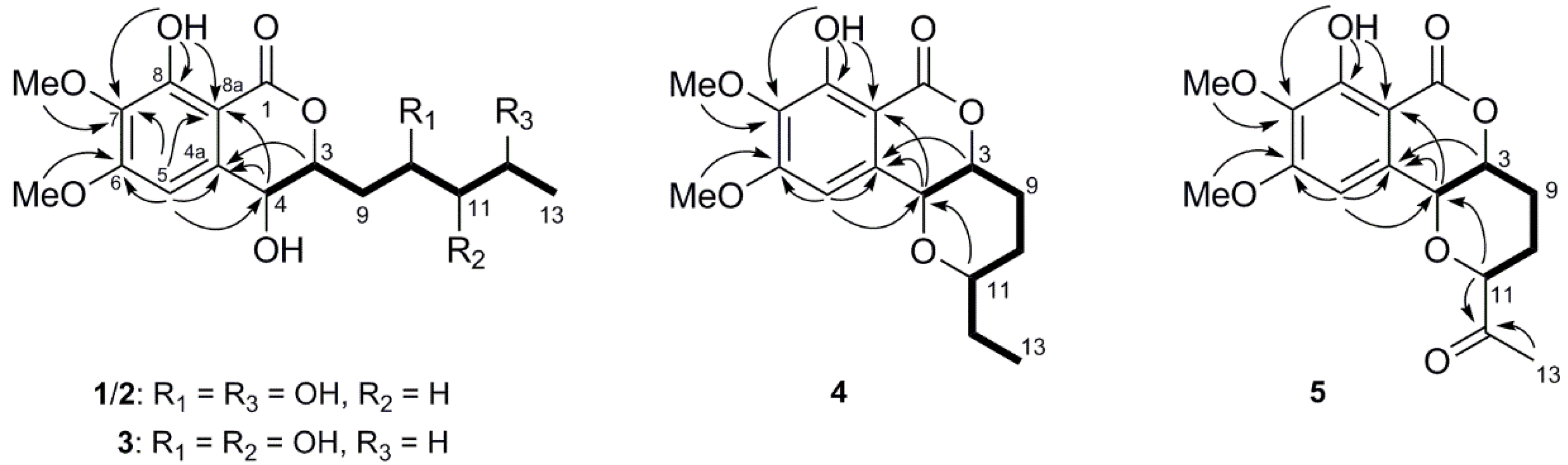 Molecules 29 00603 g002