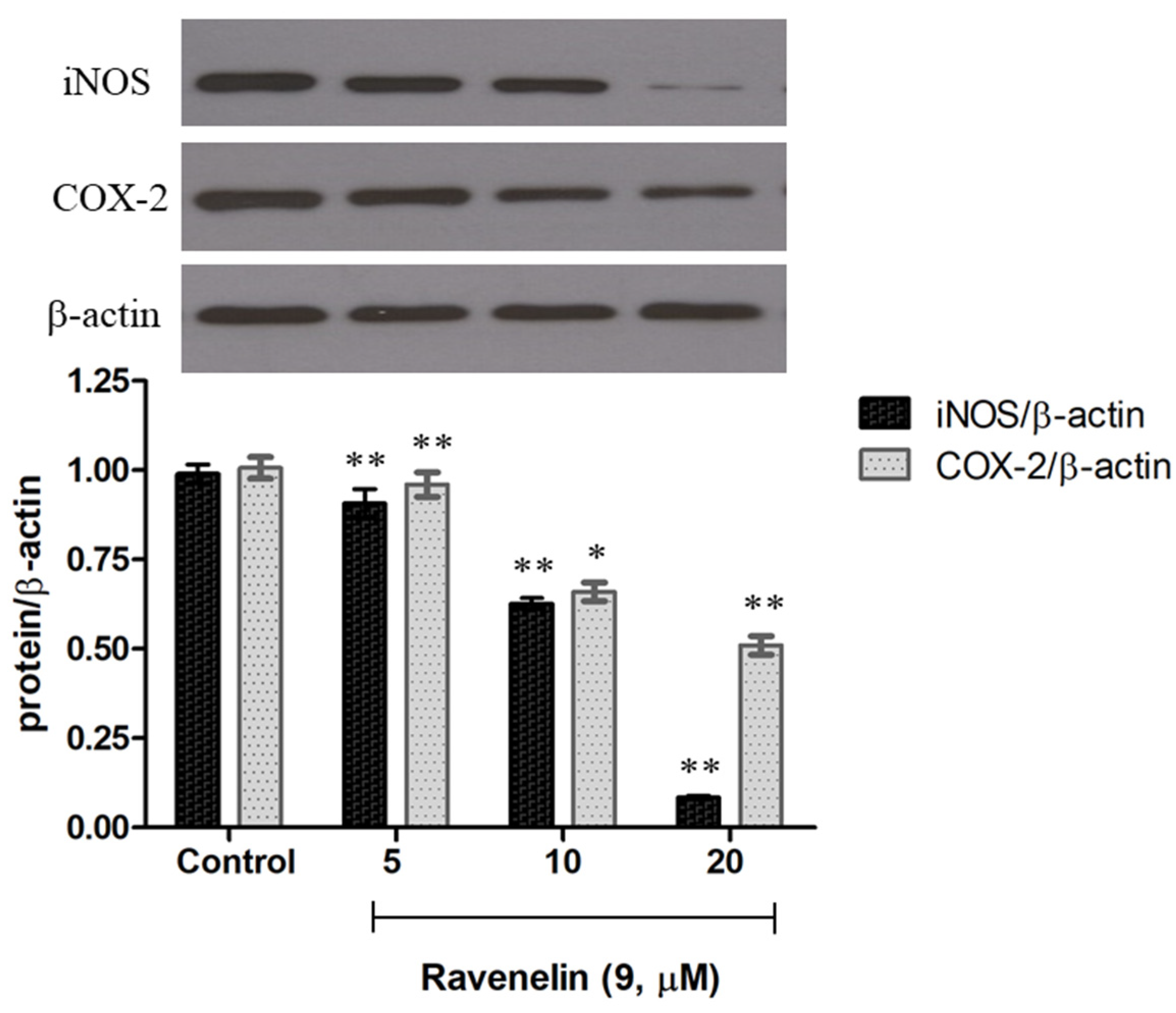 Molecules 29 00603 g005