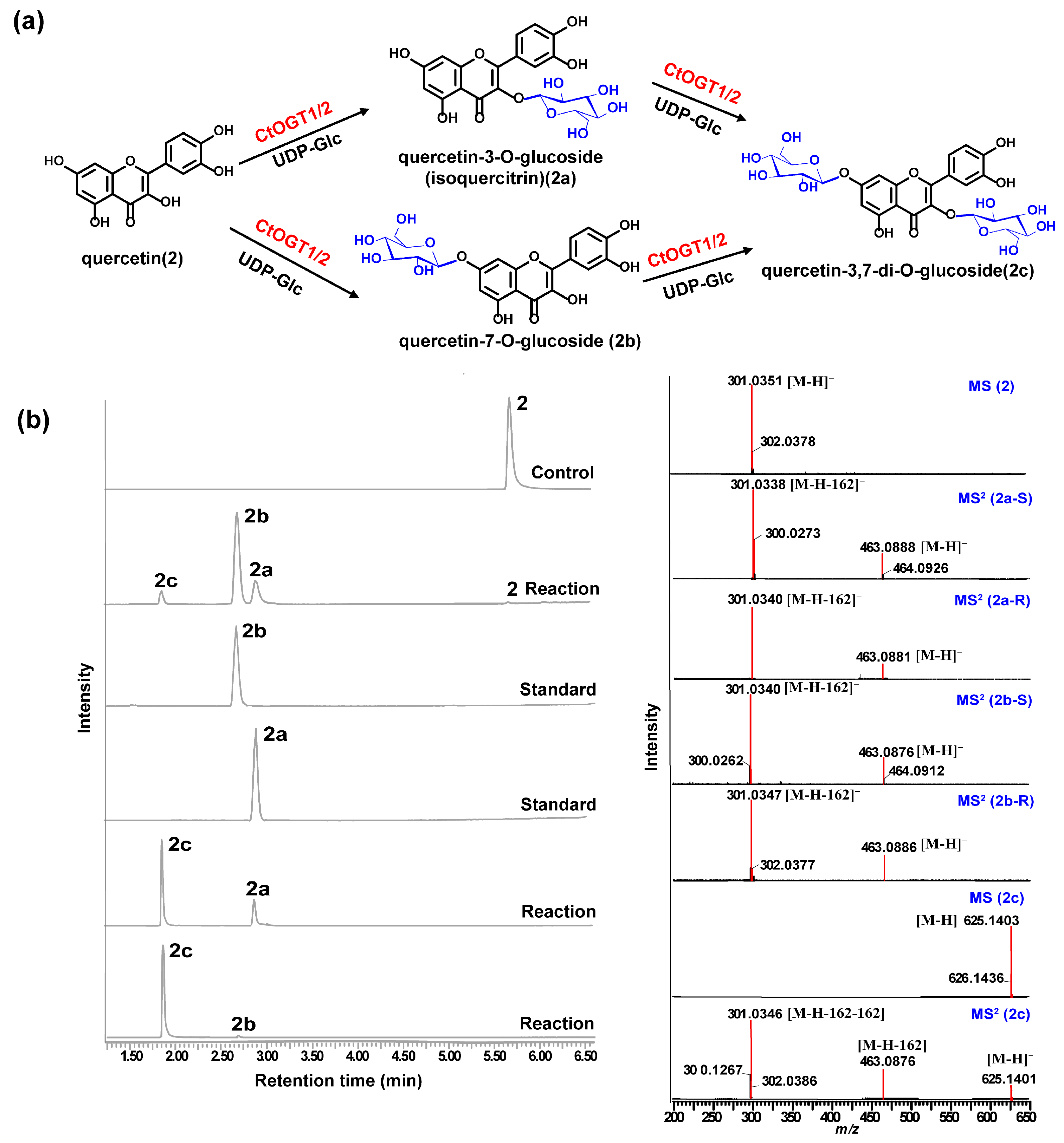 Molecules 29 00604 g004