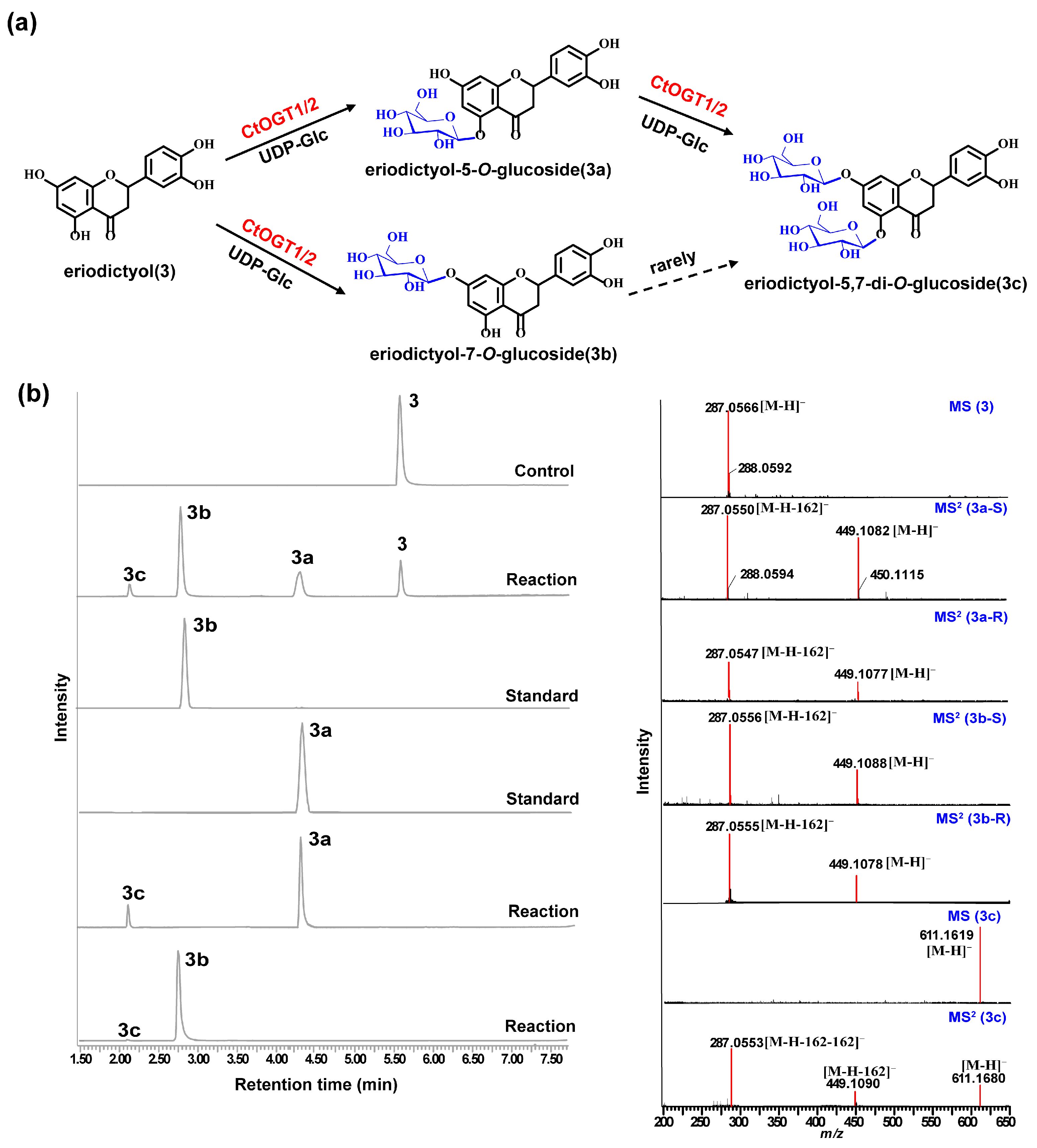 Molecules 29 00604 g005