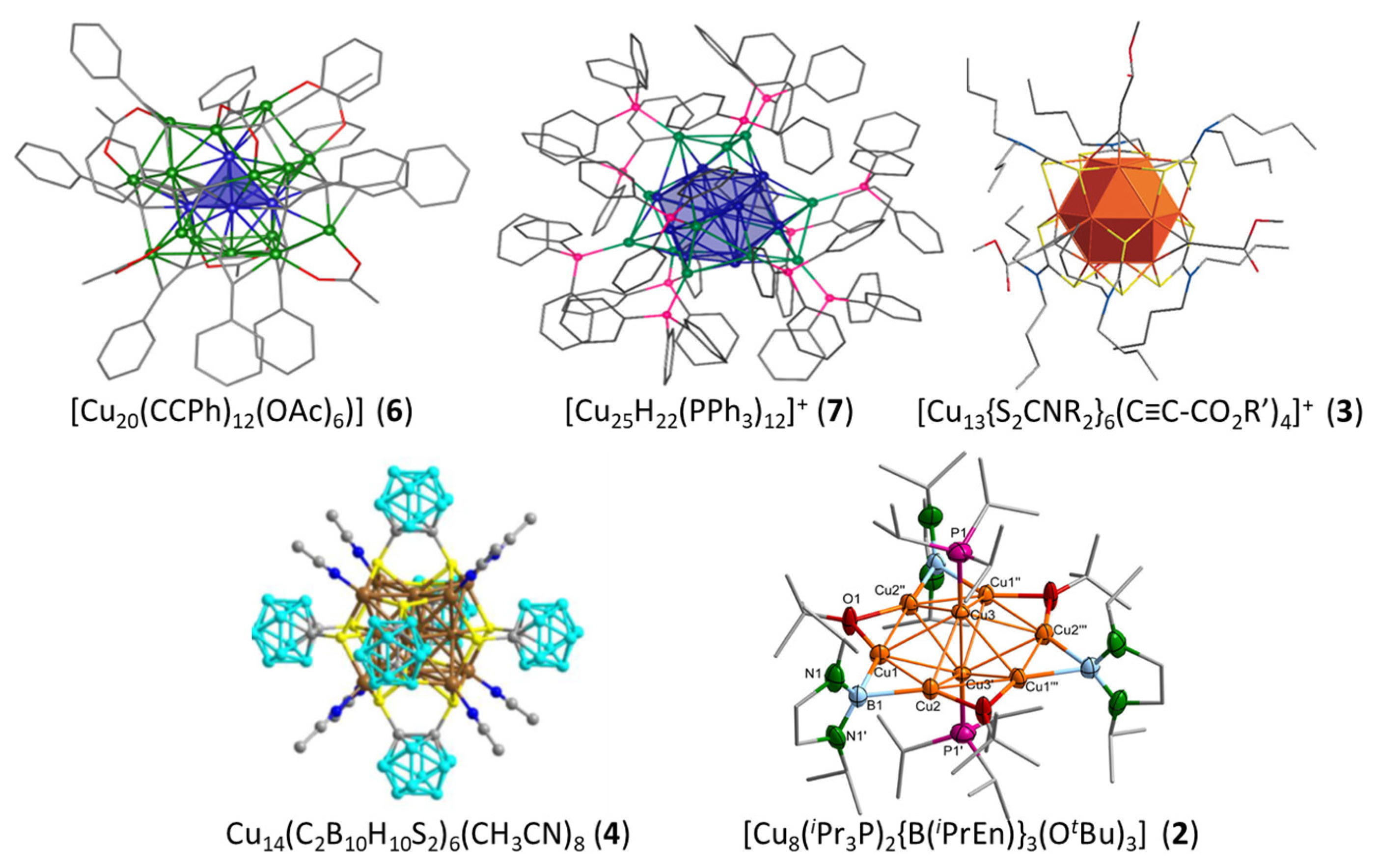 Molecules 29 00605 g002