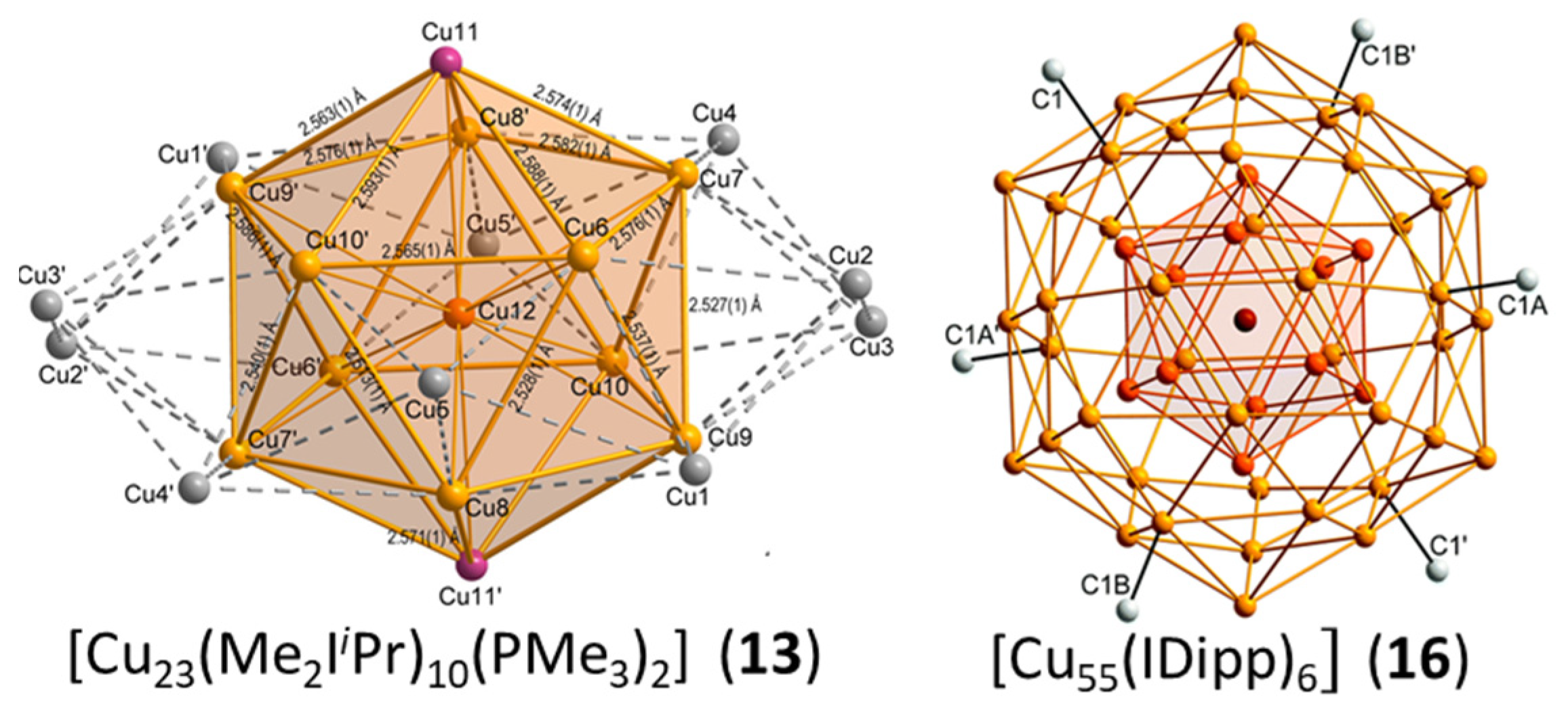 Molecules 29 00605 g005