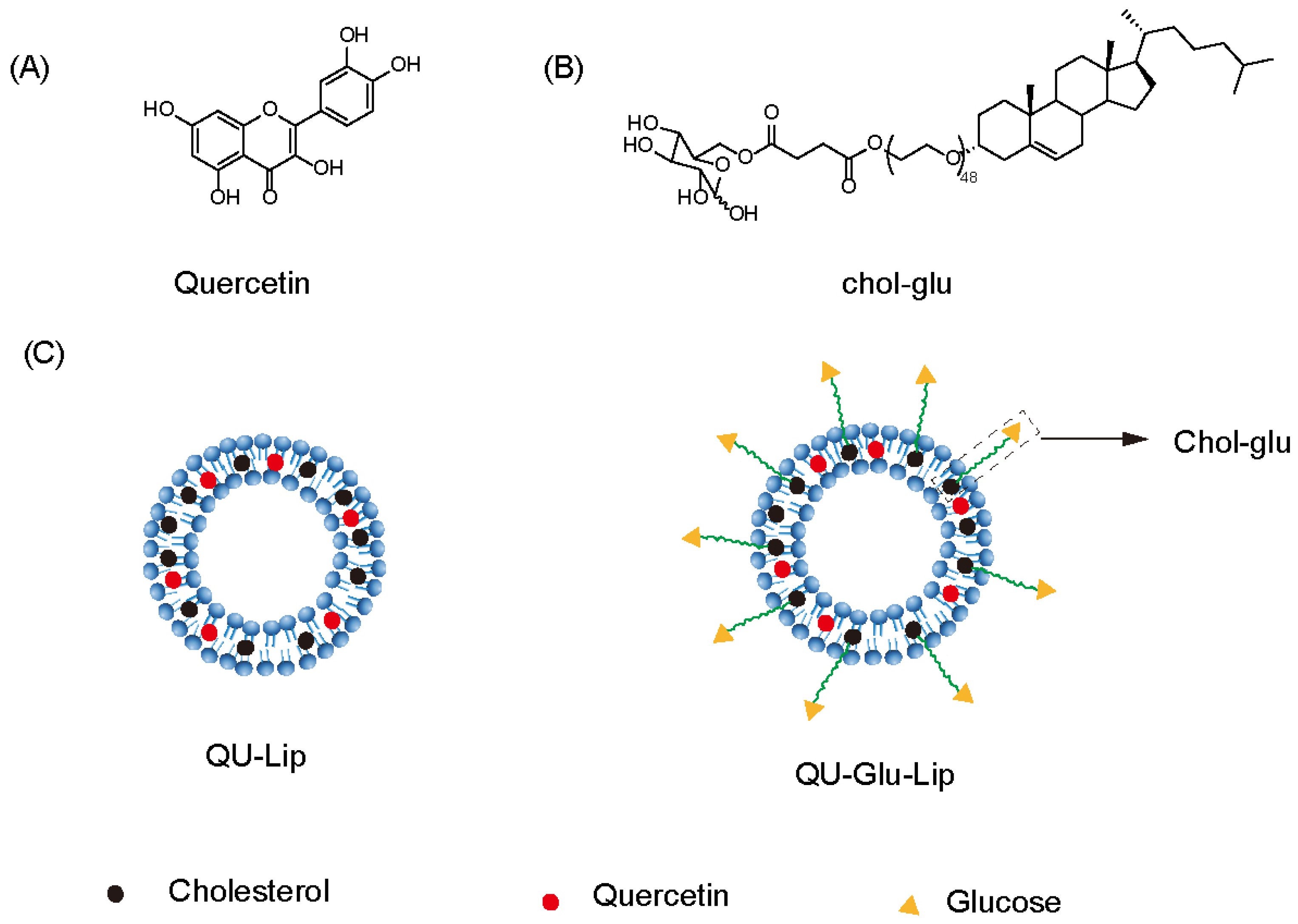 Molecules 29 00607 g001