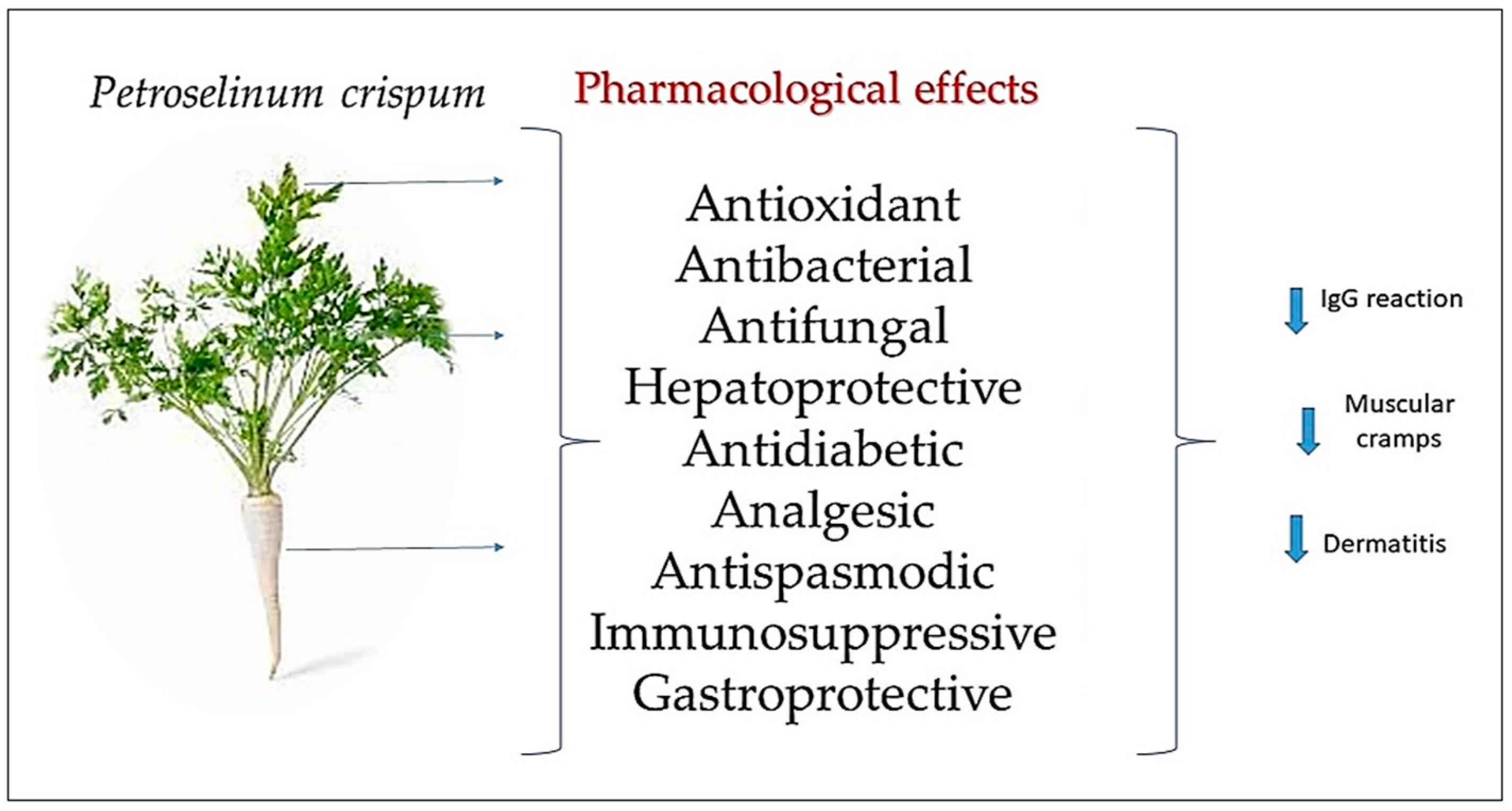 Molecules 29 00608 g004