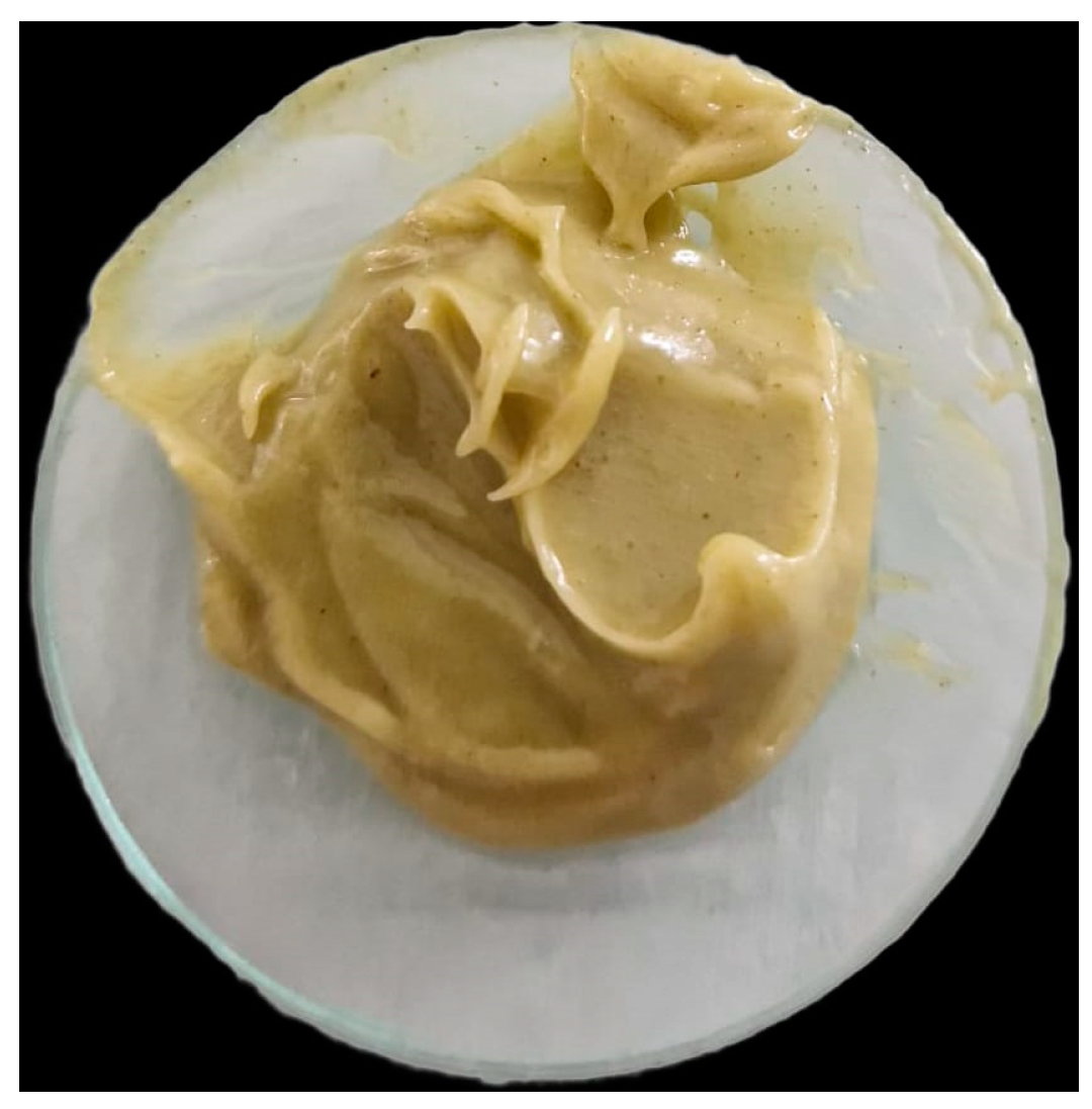 Molecules 29 00608 g005