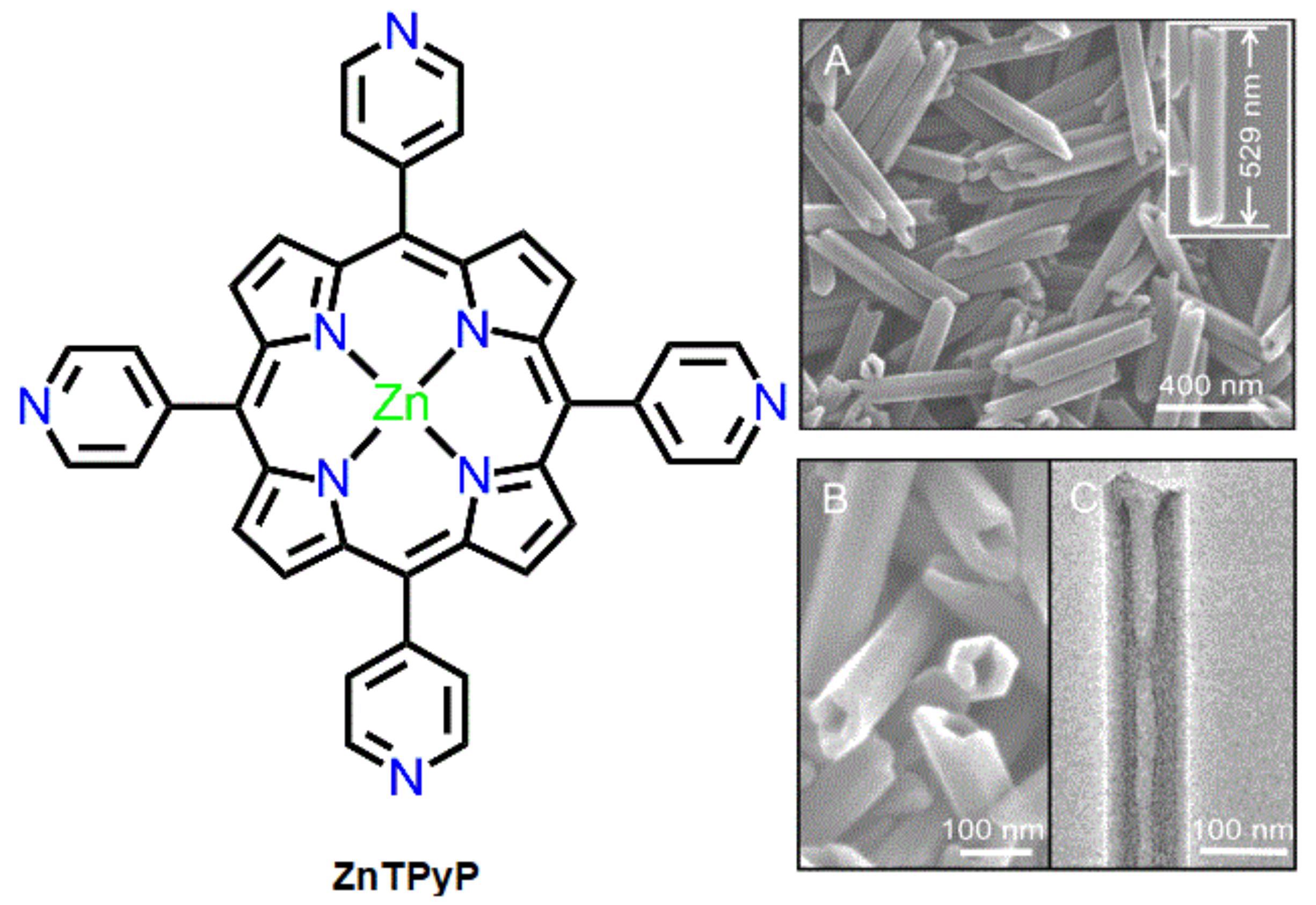 Molecules 29 00611 g001