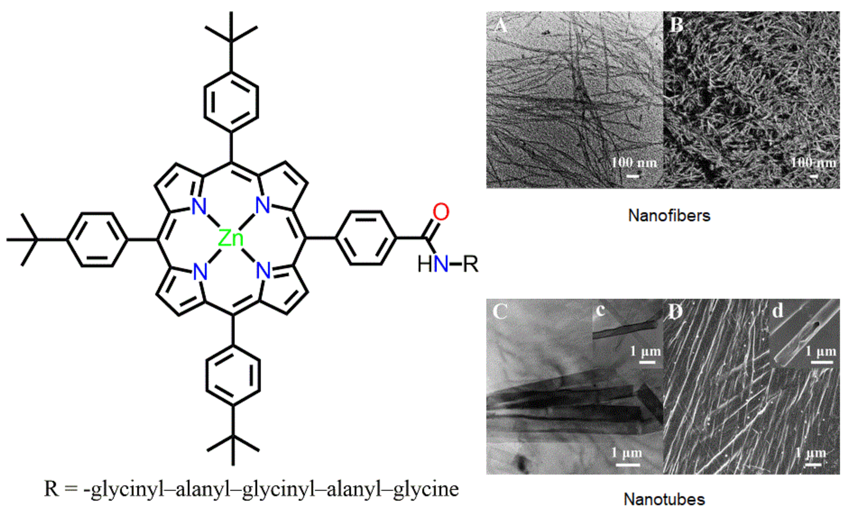 Molecules 29 00611 g003