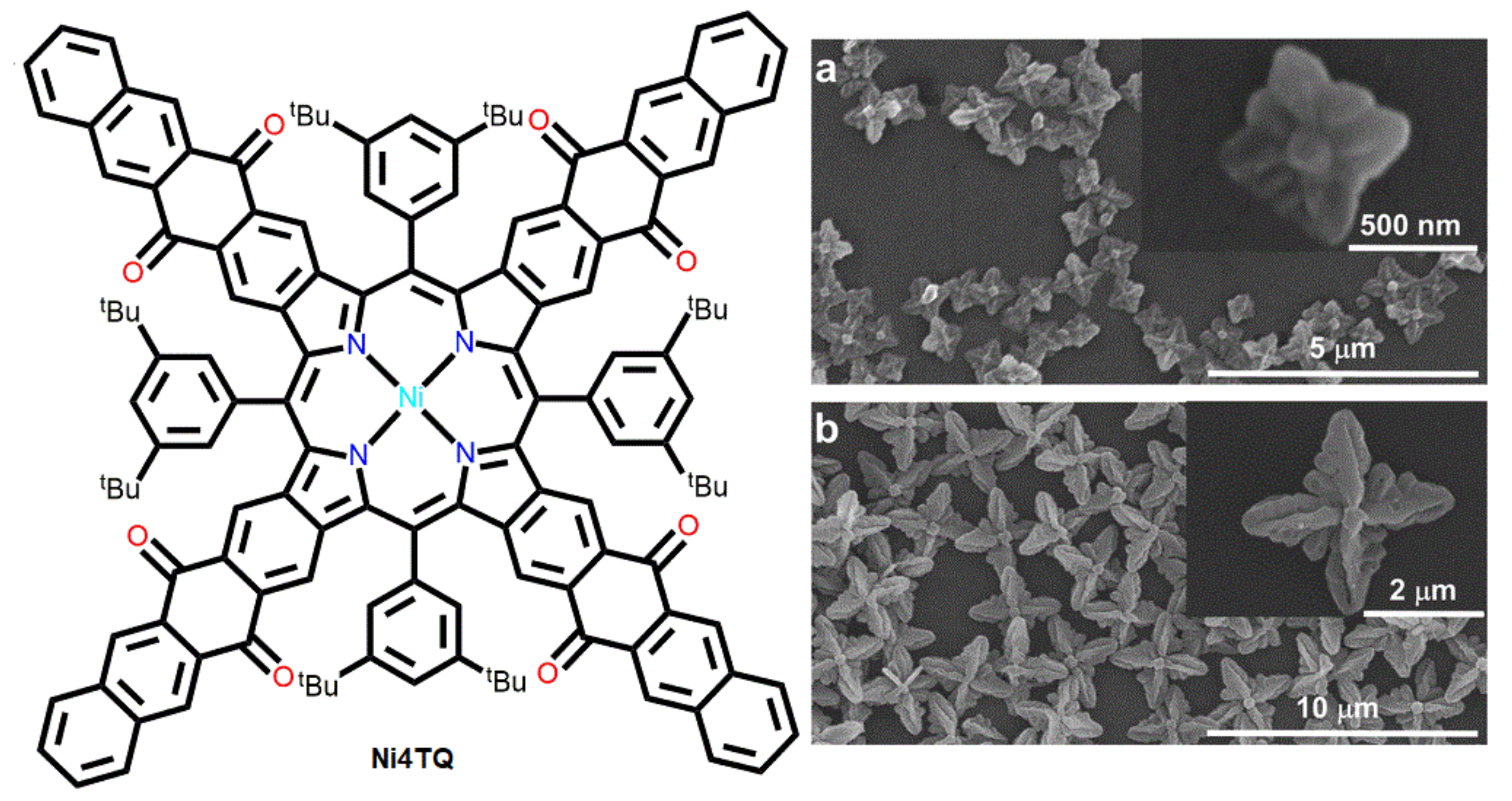 Molecules 29 00611 g005