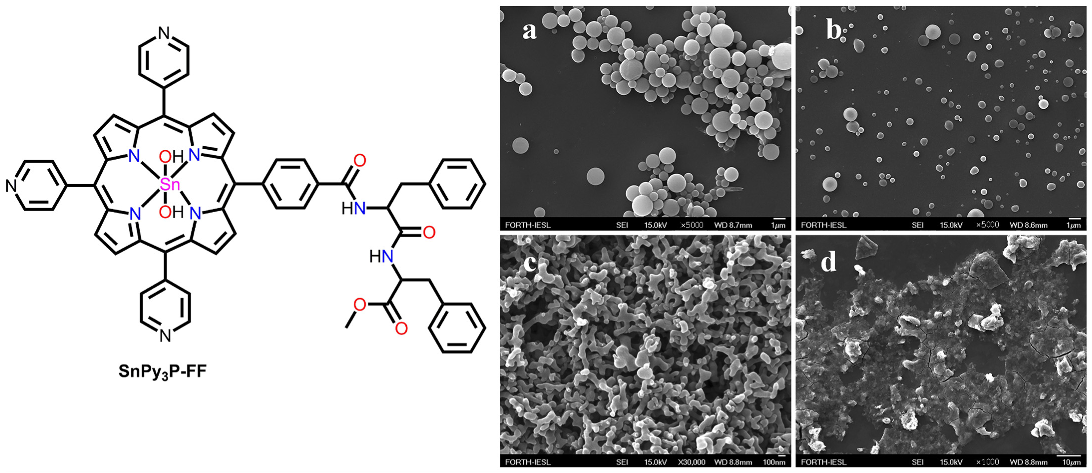 Molecules 29 00611 g006