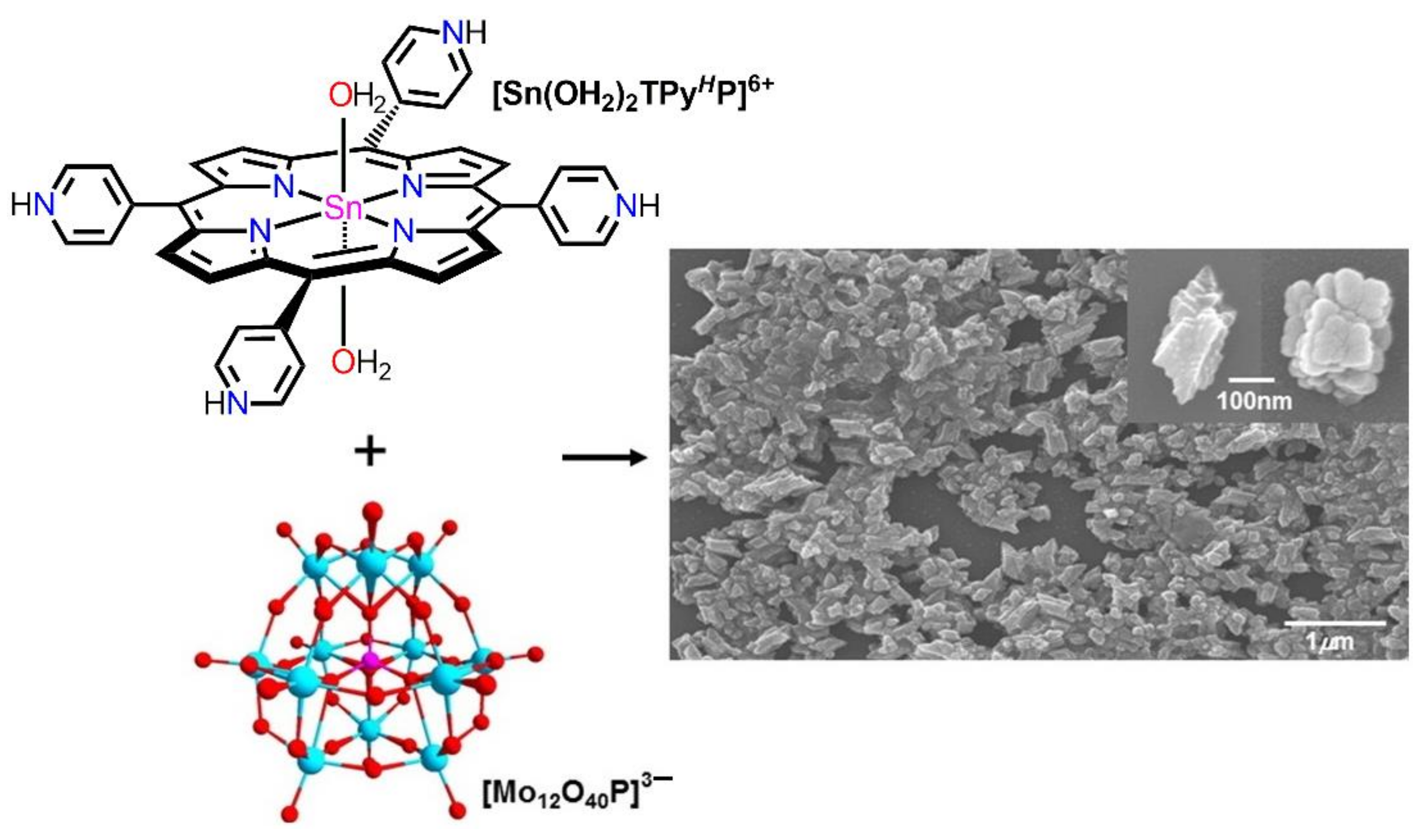 Molecules 29 00611 g009