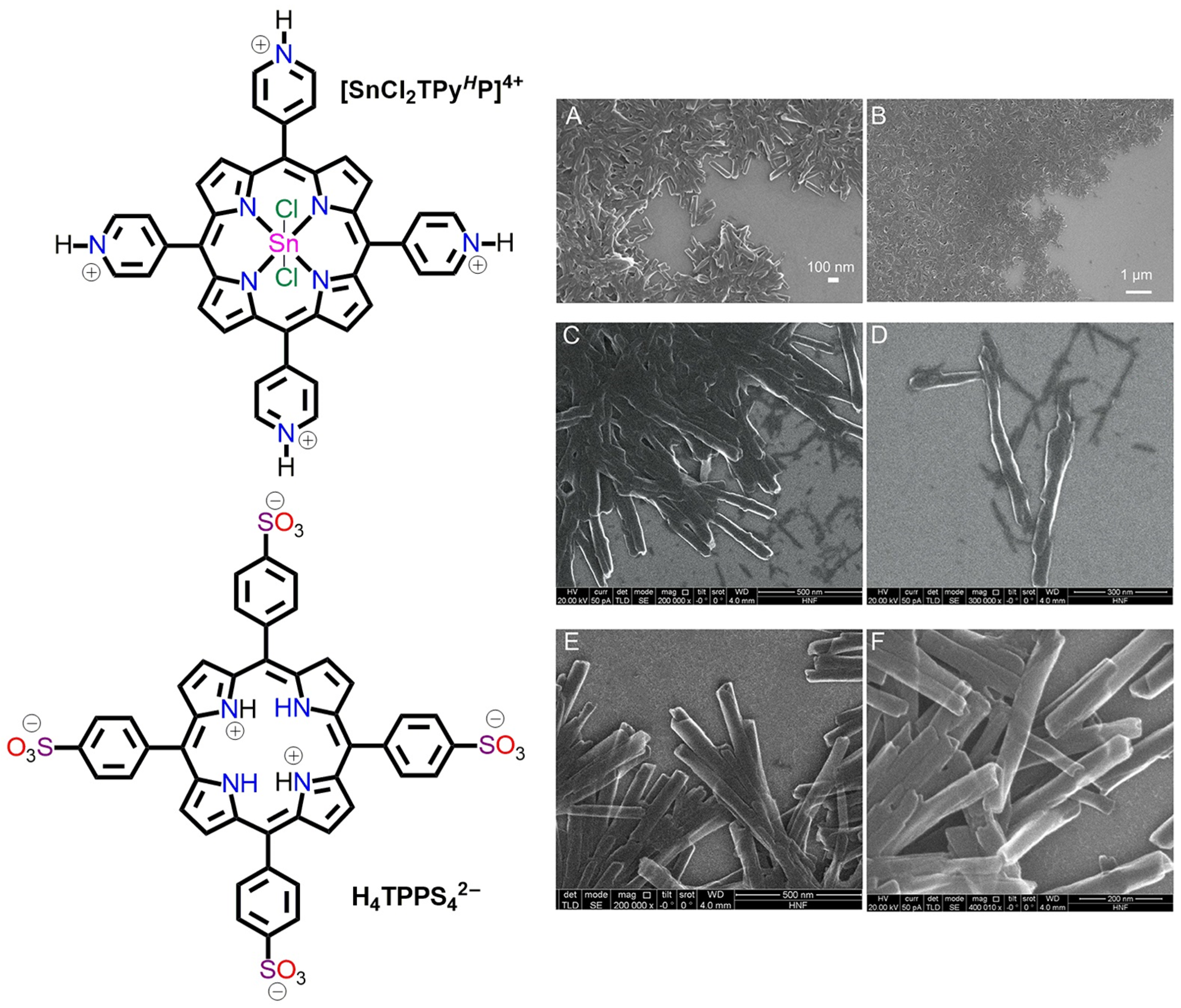 Molecules 29 00611 g010
