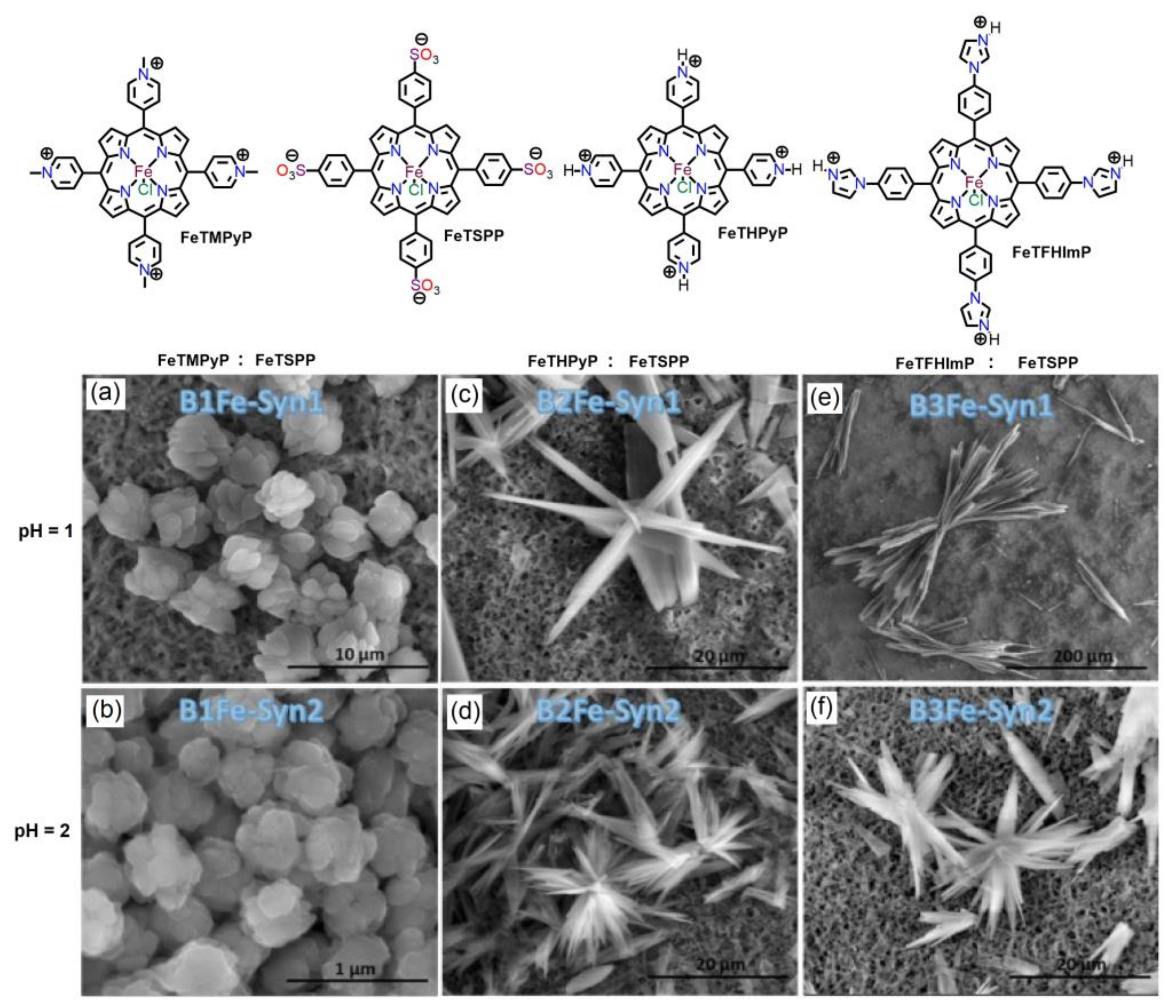 Molecules 29 00611 g011