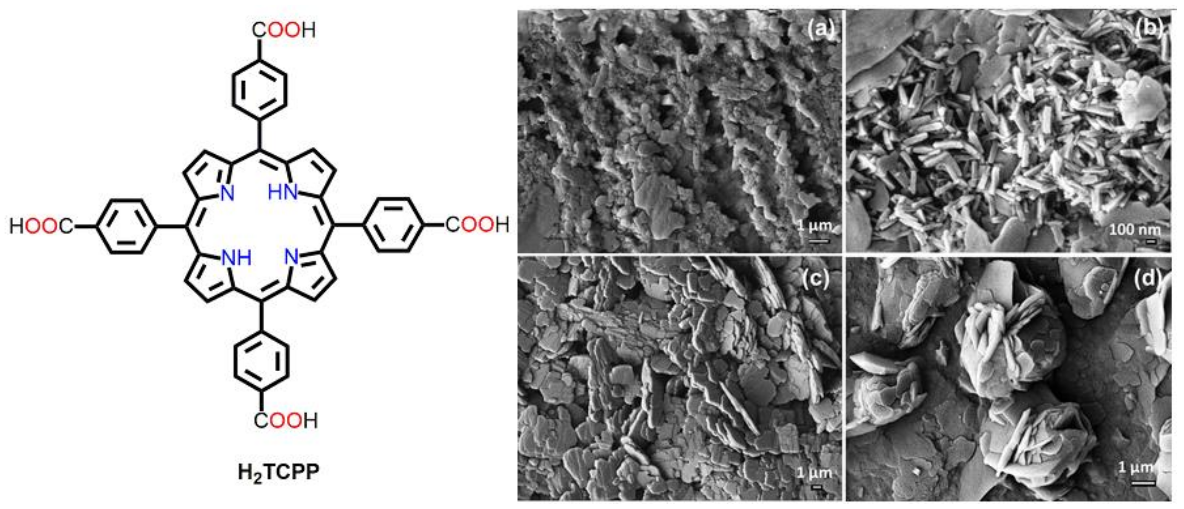 Molecules 29 00611 g013