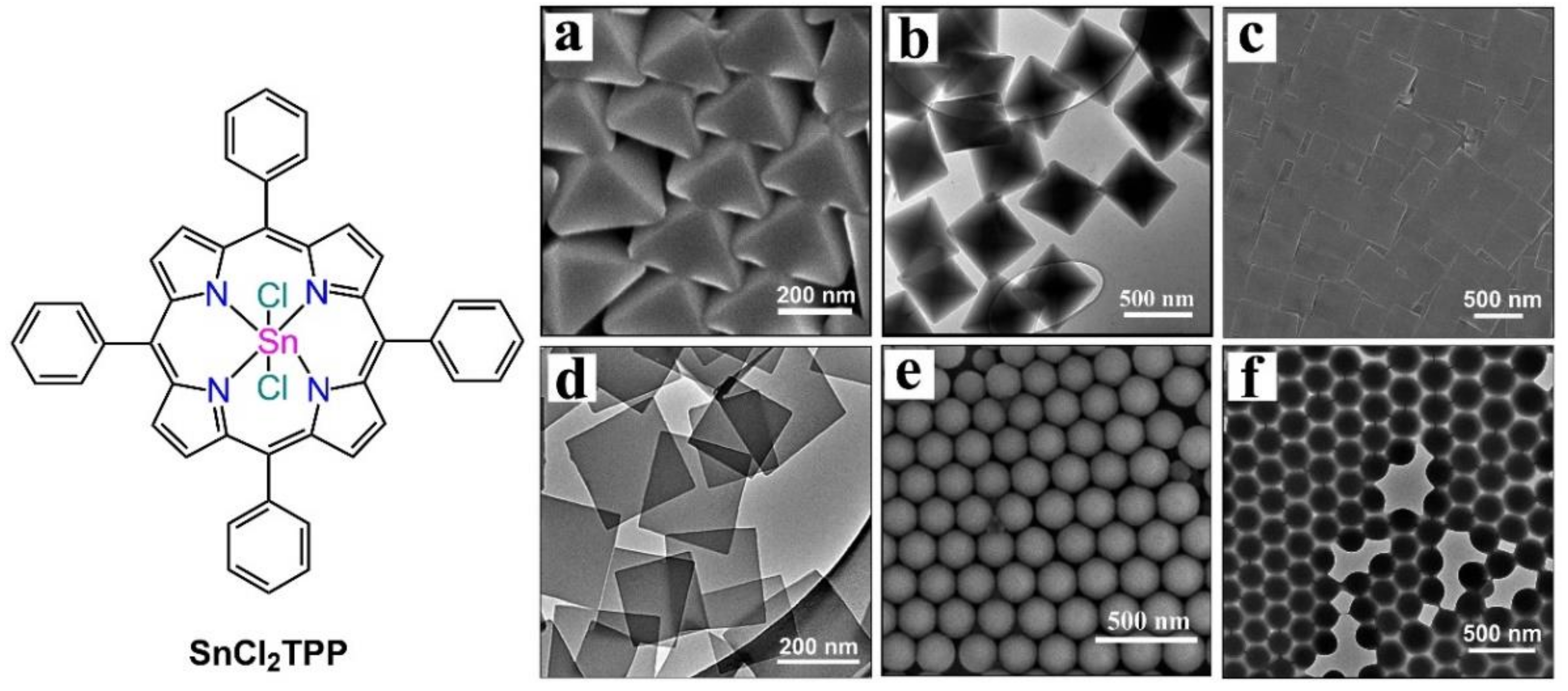 Molecules 29 00611 g014