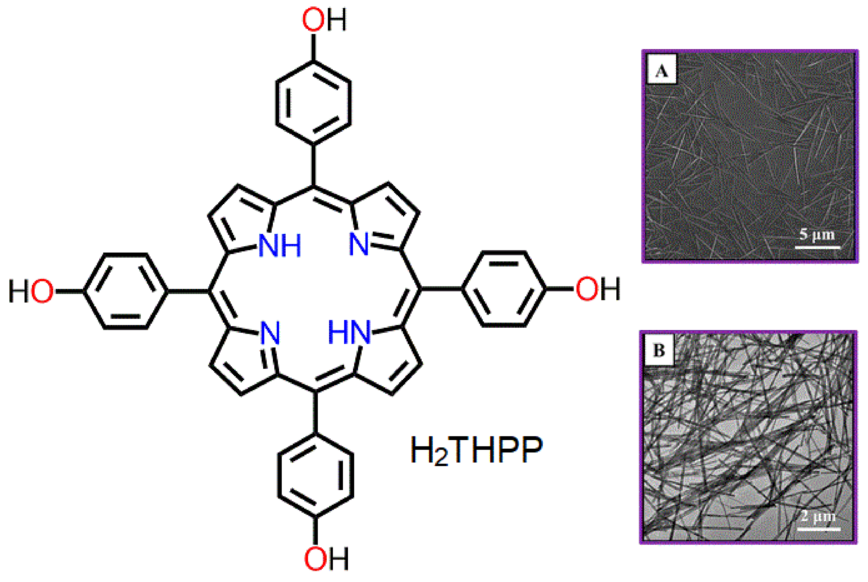 Molecules 29 00611 g015