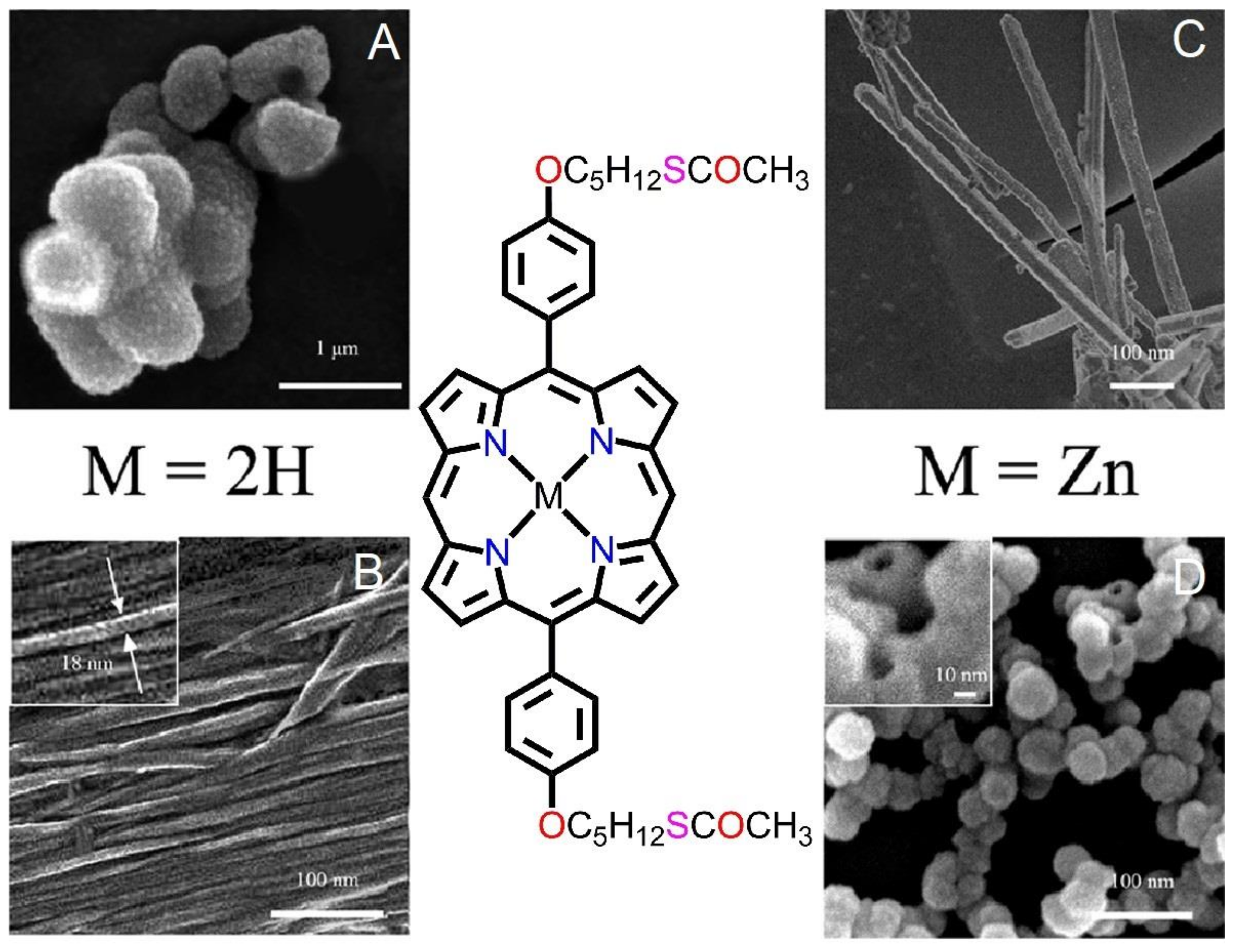 Molecules 29 00611 g017