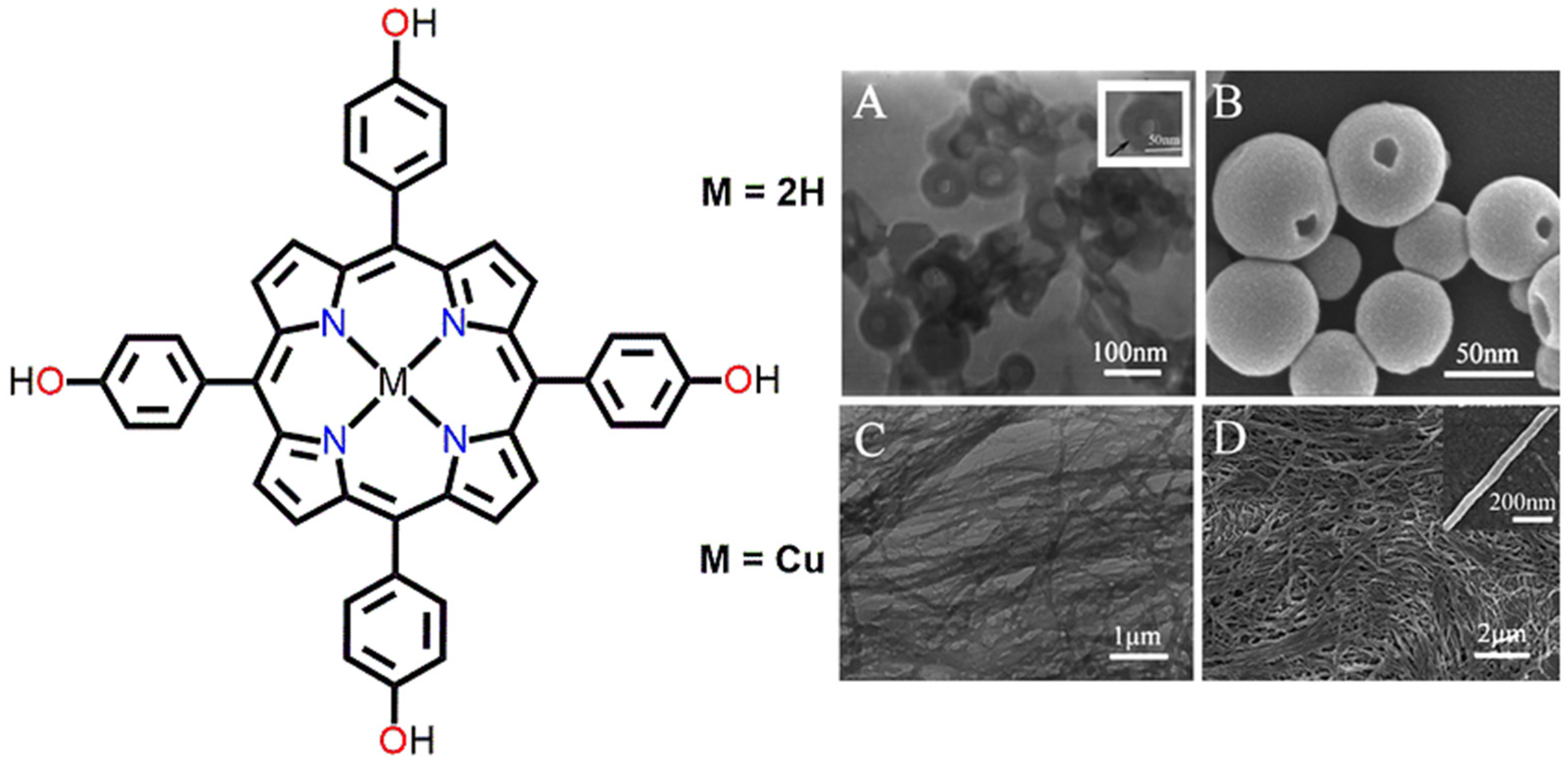 Molecules 29 00611 g018