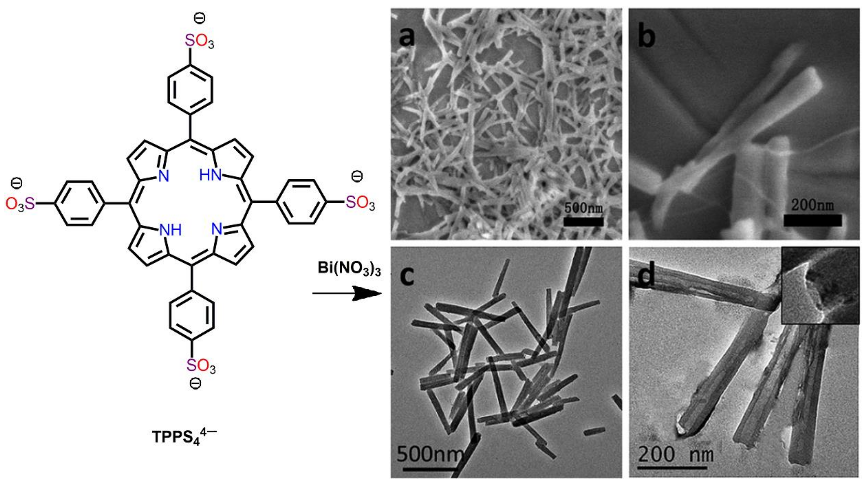Molecules 29 00611 g019