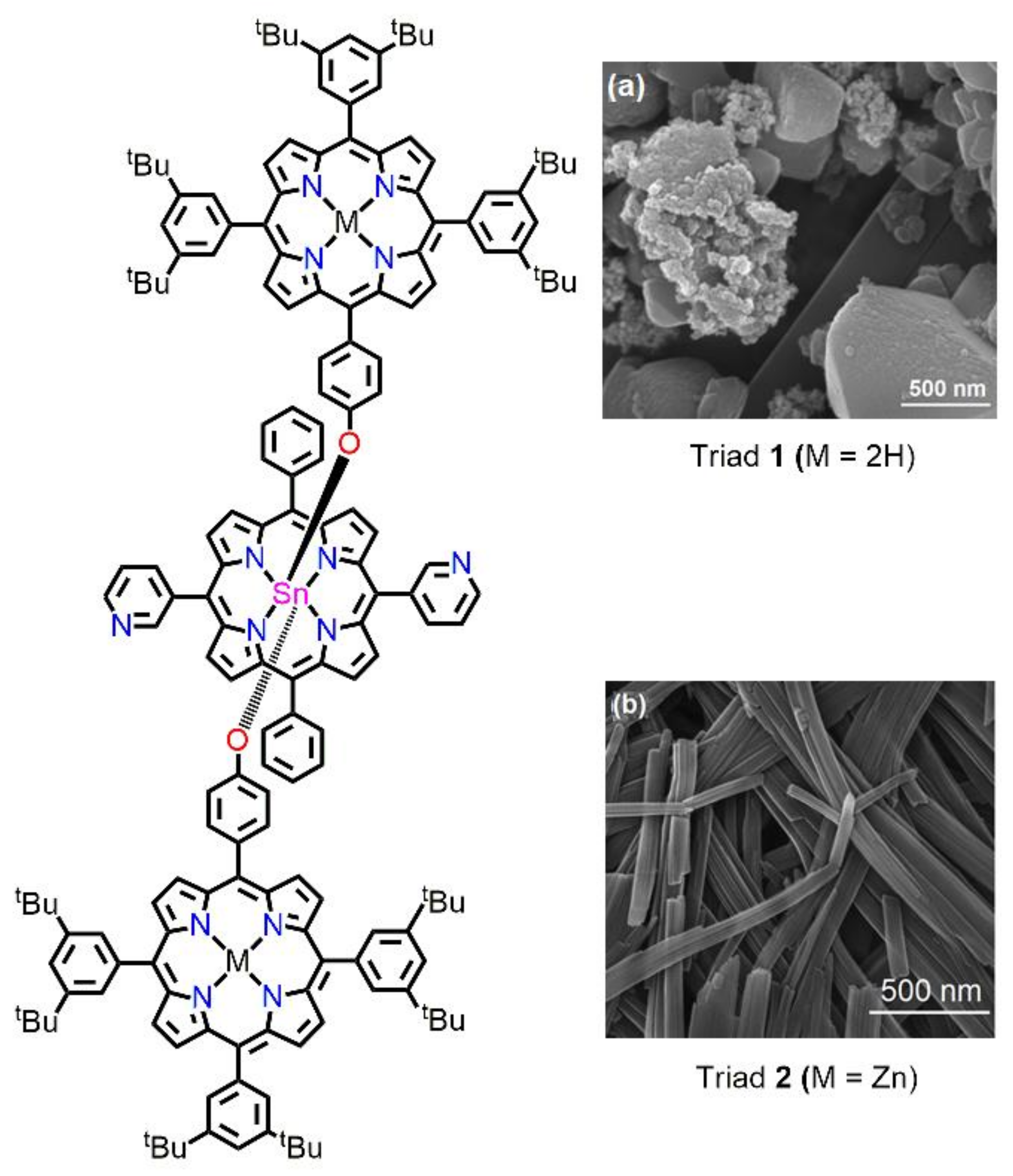 Molecules 29 00611 g020