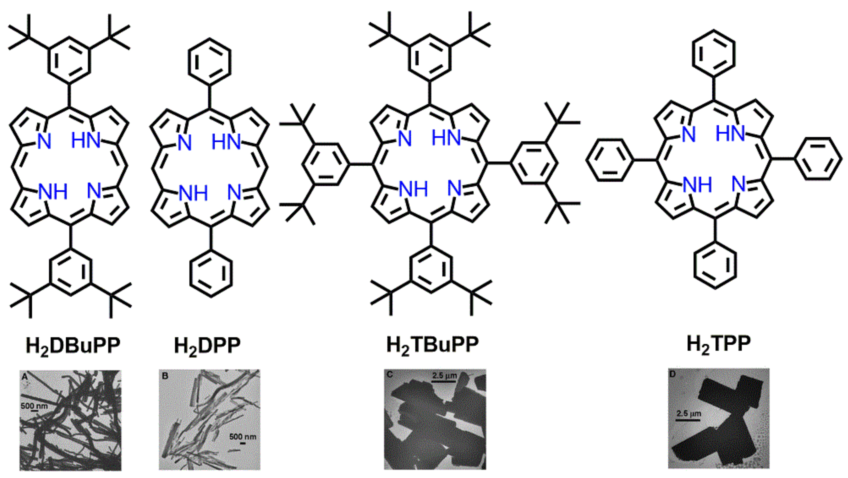 Molecules 29 00611 g022