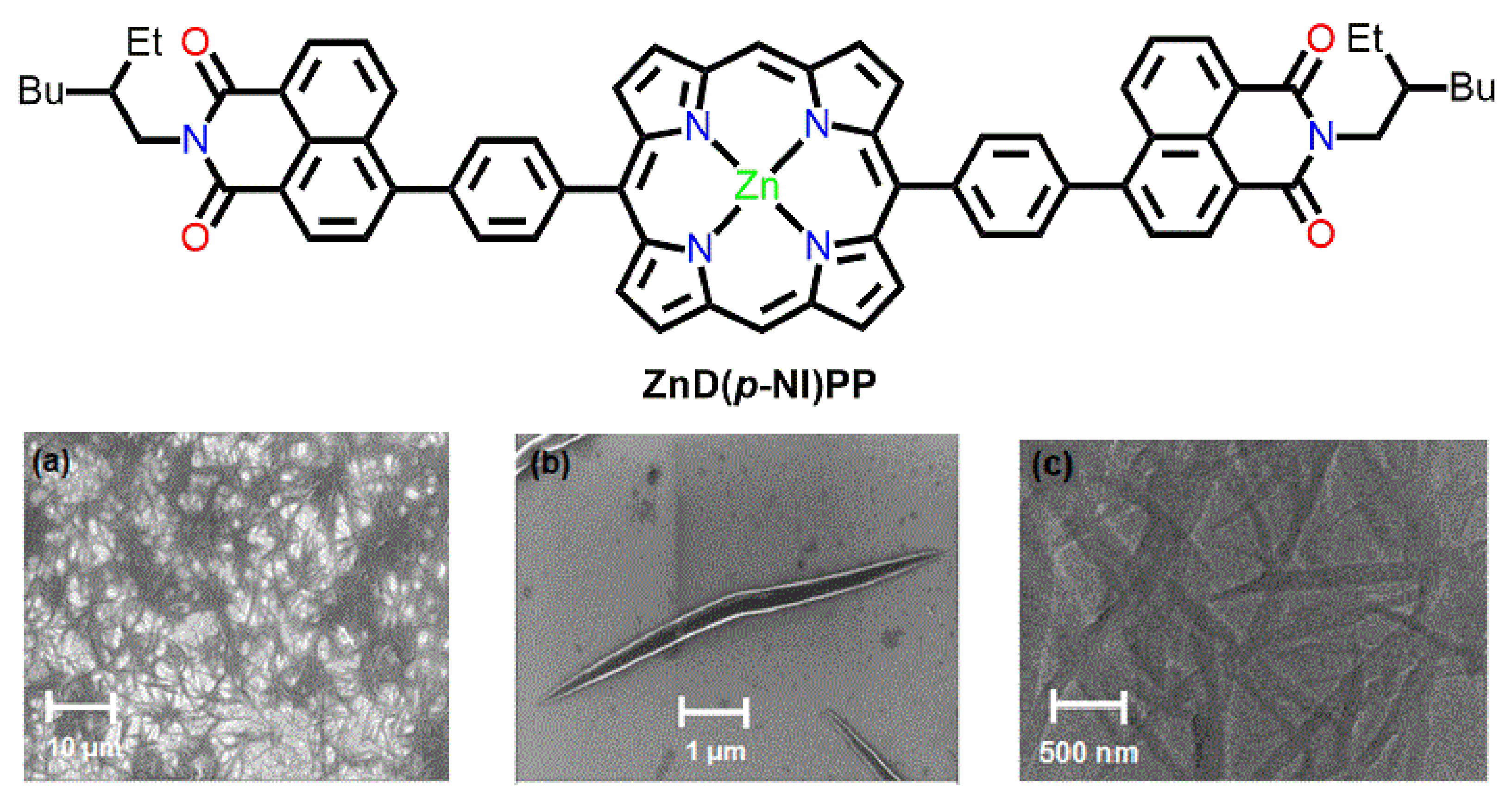 Molecules 29 00611 g025