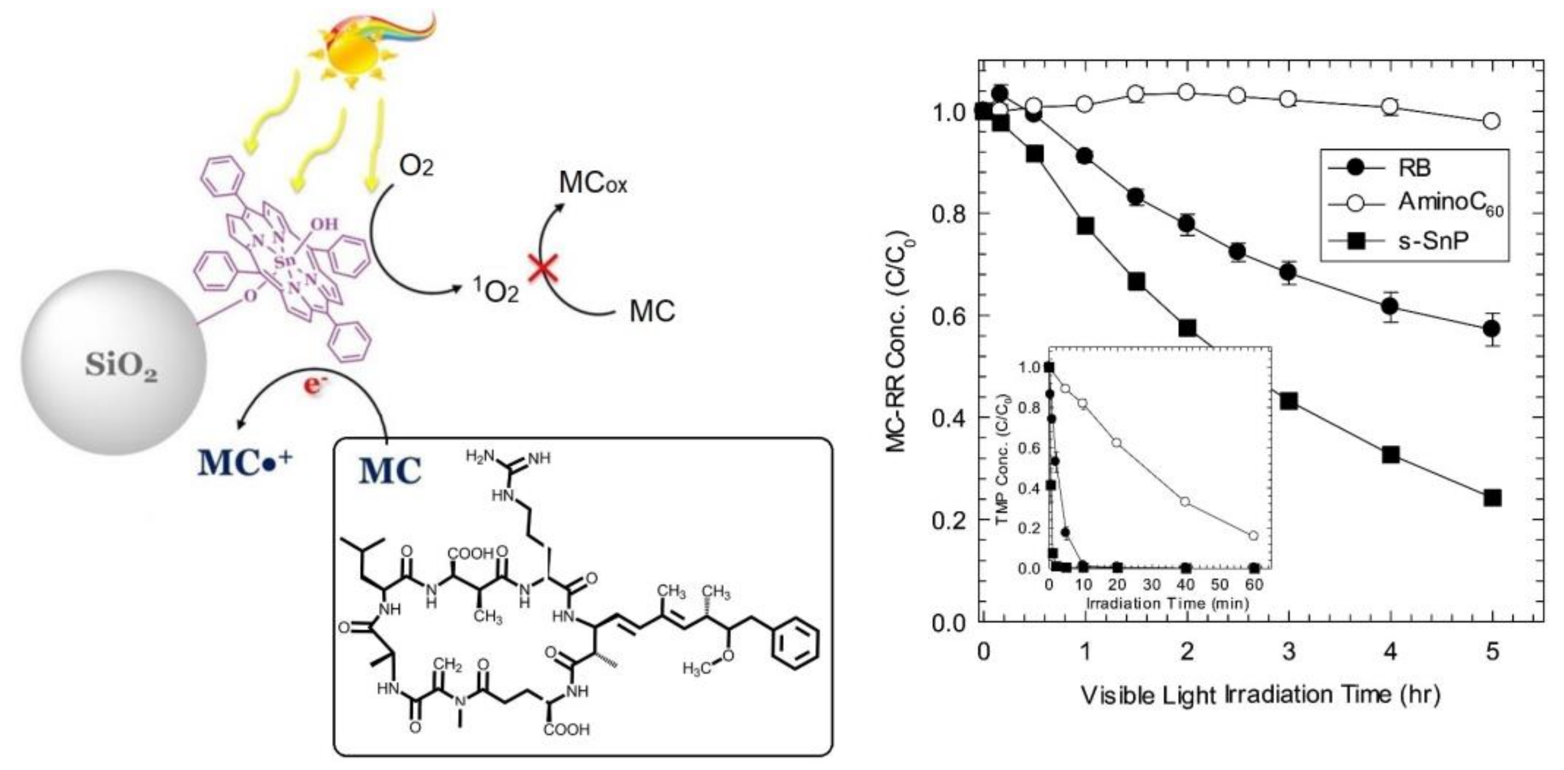 Molecules 29 00611 g036