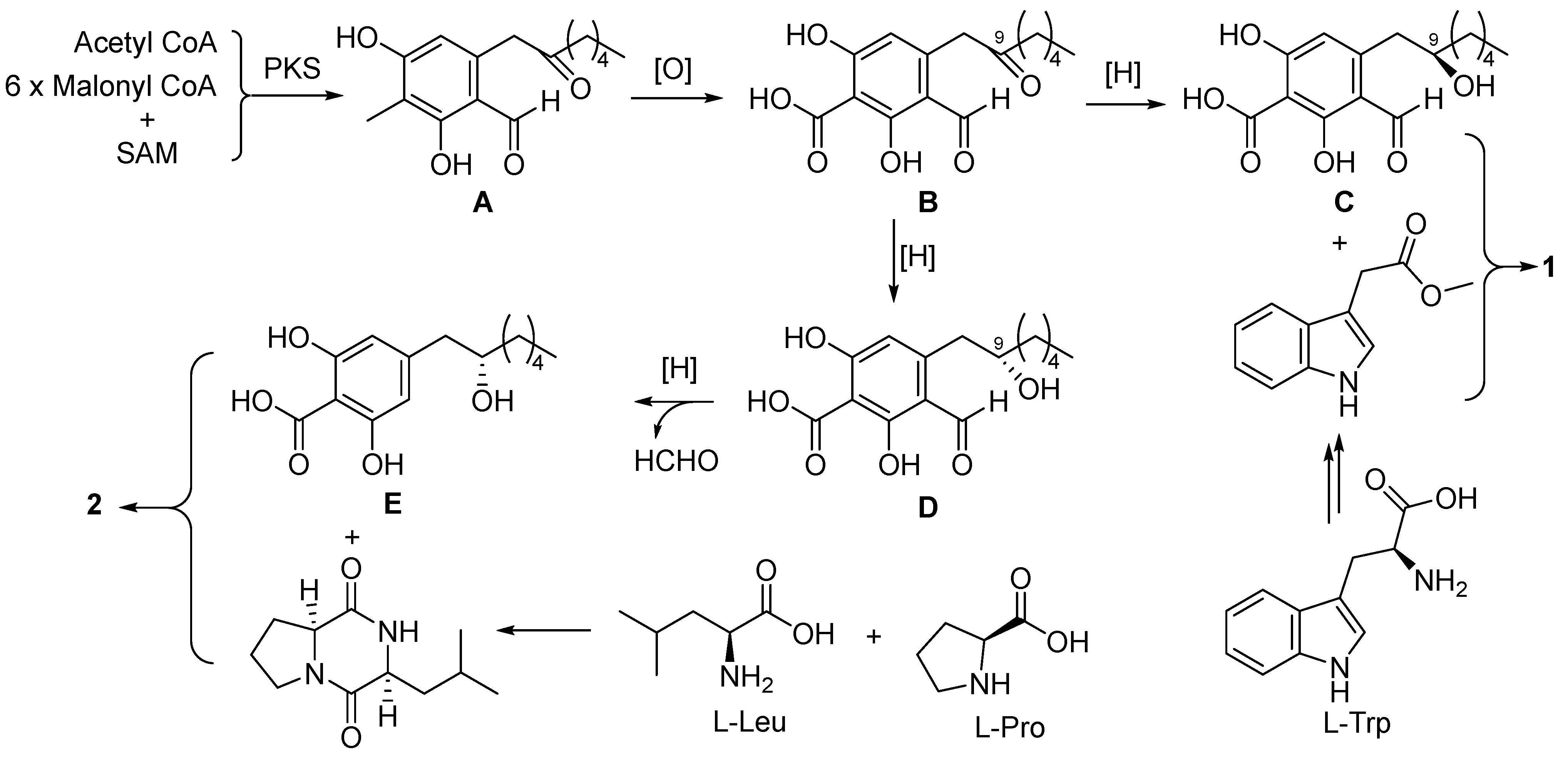 Molecules 29 00613 sch001