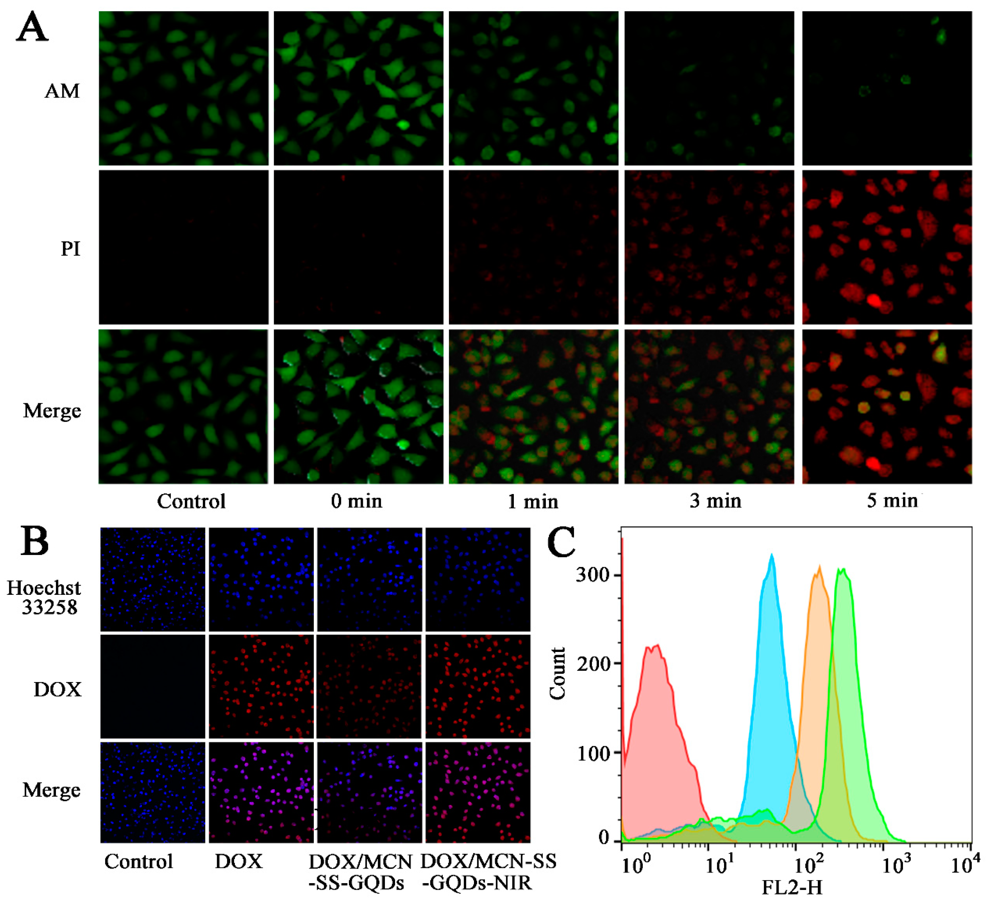 Molecules 29 00615 g006